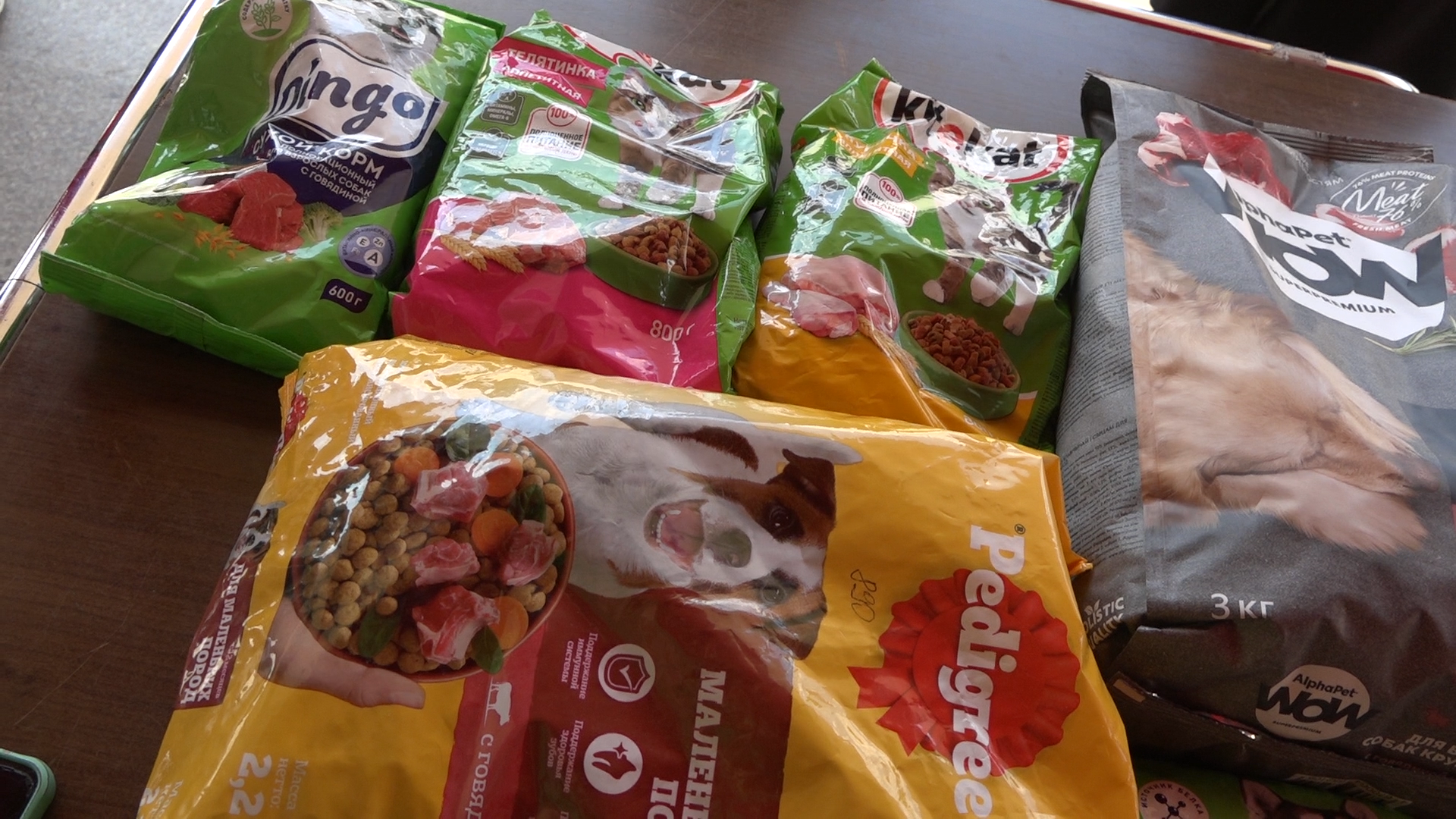 приют для собак,приют для животных, приют Умка Лесной городок, помощь бездомным животным, власиха благотворительность,