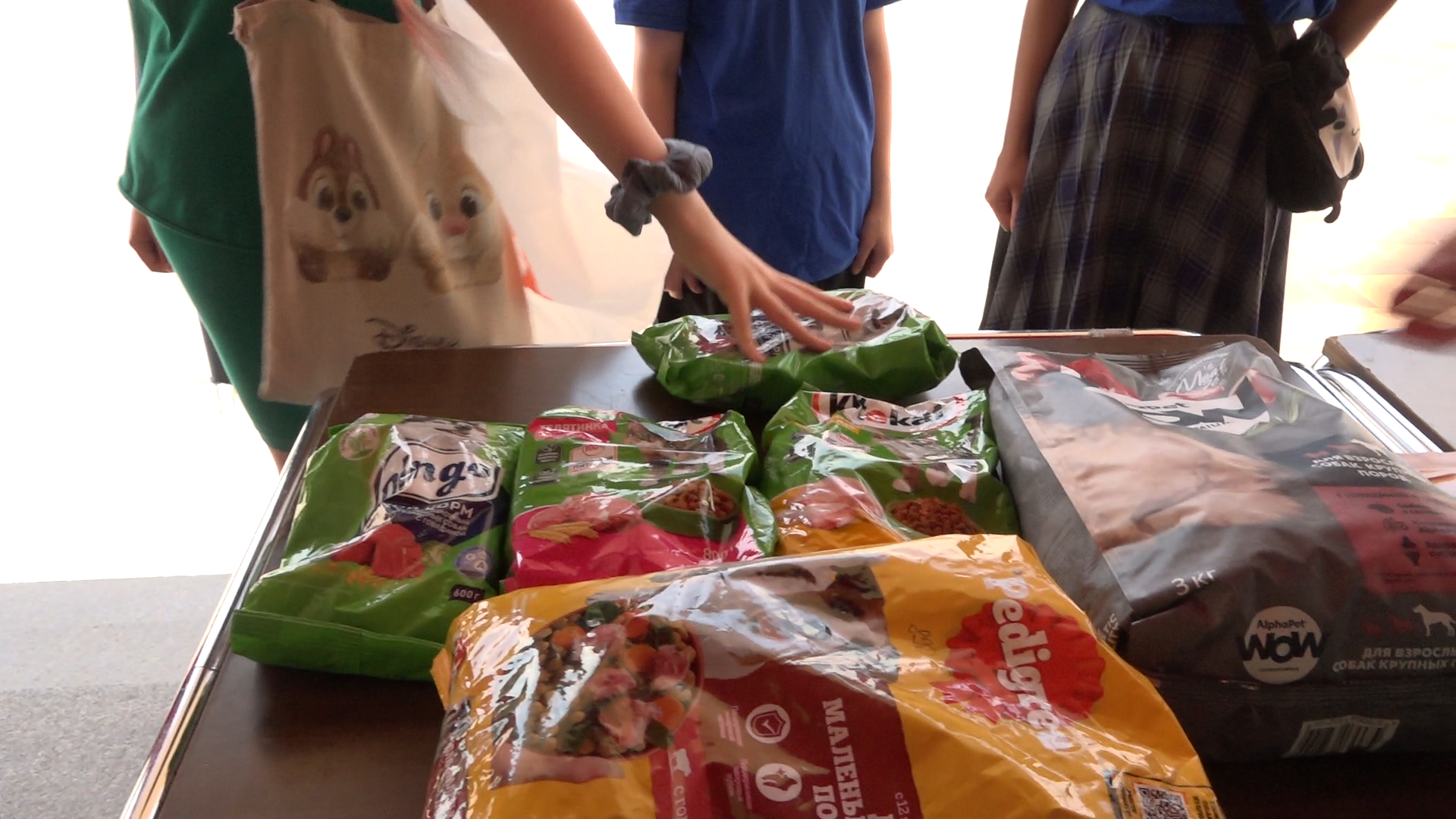 приют для собак,приют для животных, приют Умка Лесной городок, помощь бездомным животным, власиха благотворительность,