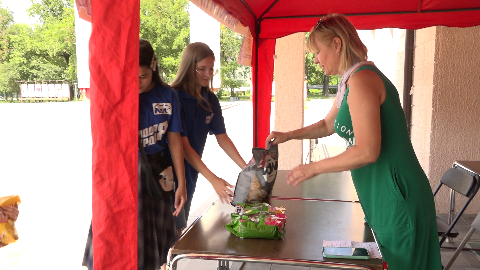 приют для собак,приют для животных, приют Умка Лесной городок, помощь бездомным животным, власиха благотворительность,