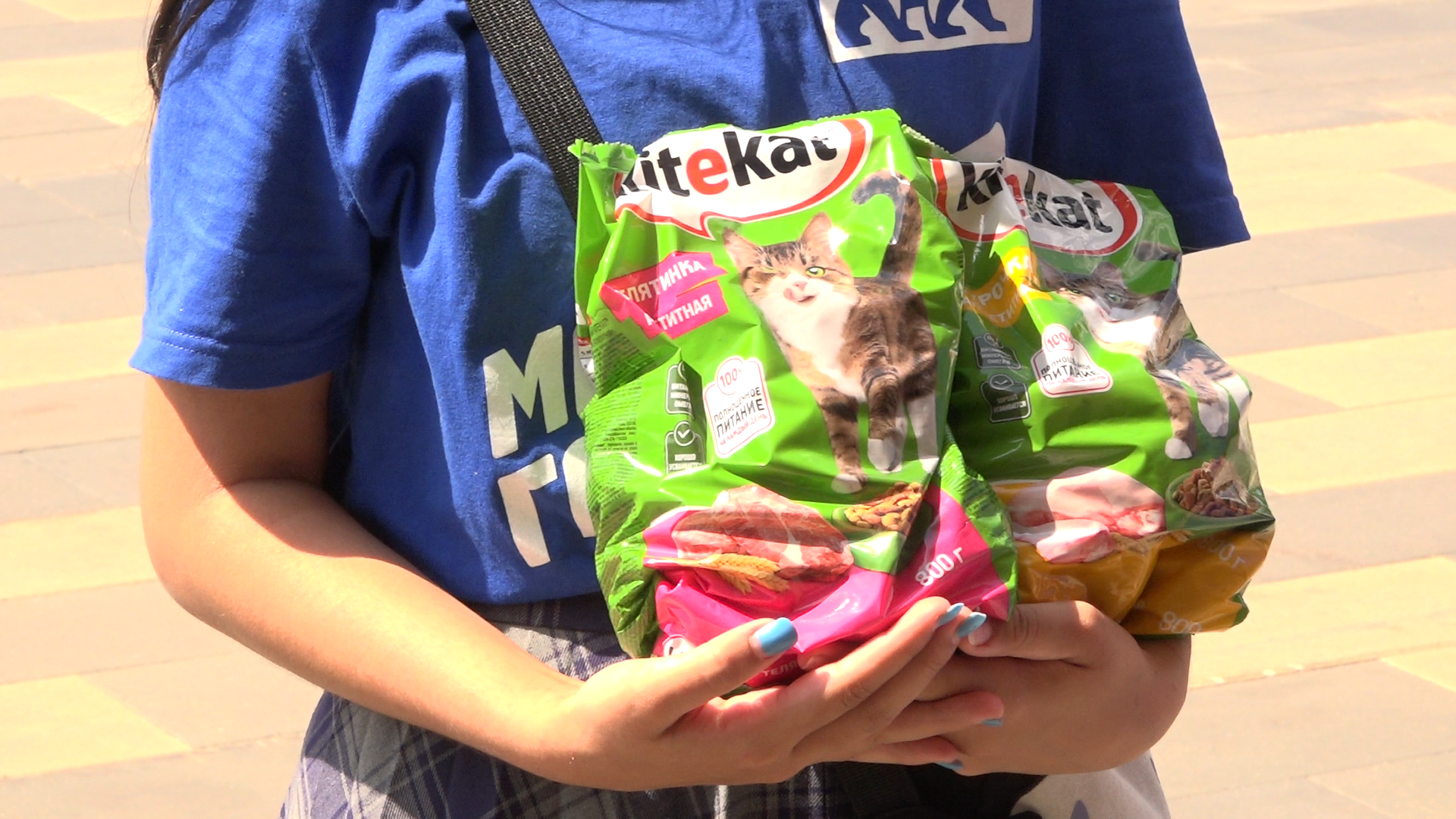 приют для собак,приют для животных, приют Умка Лесной городок, помощь бездомным животным, власиха благотворительность,