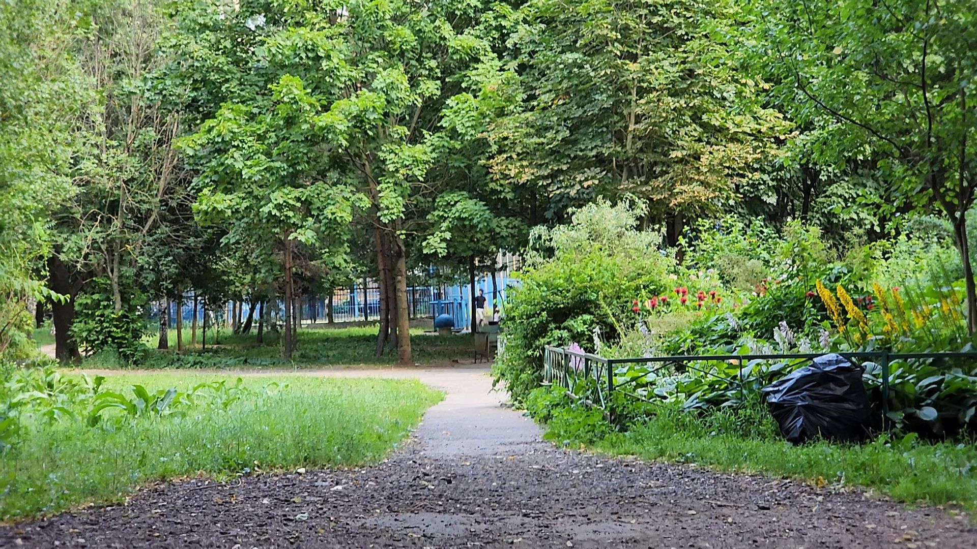 одинцово, благоустойство, народная тропа, пешком,