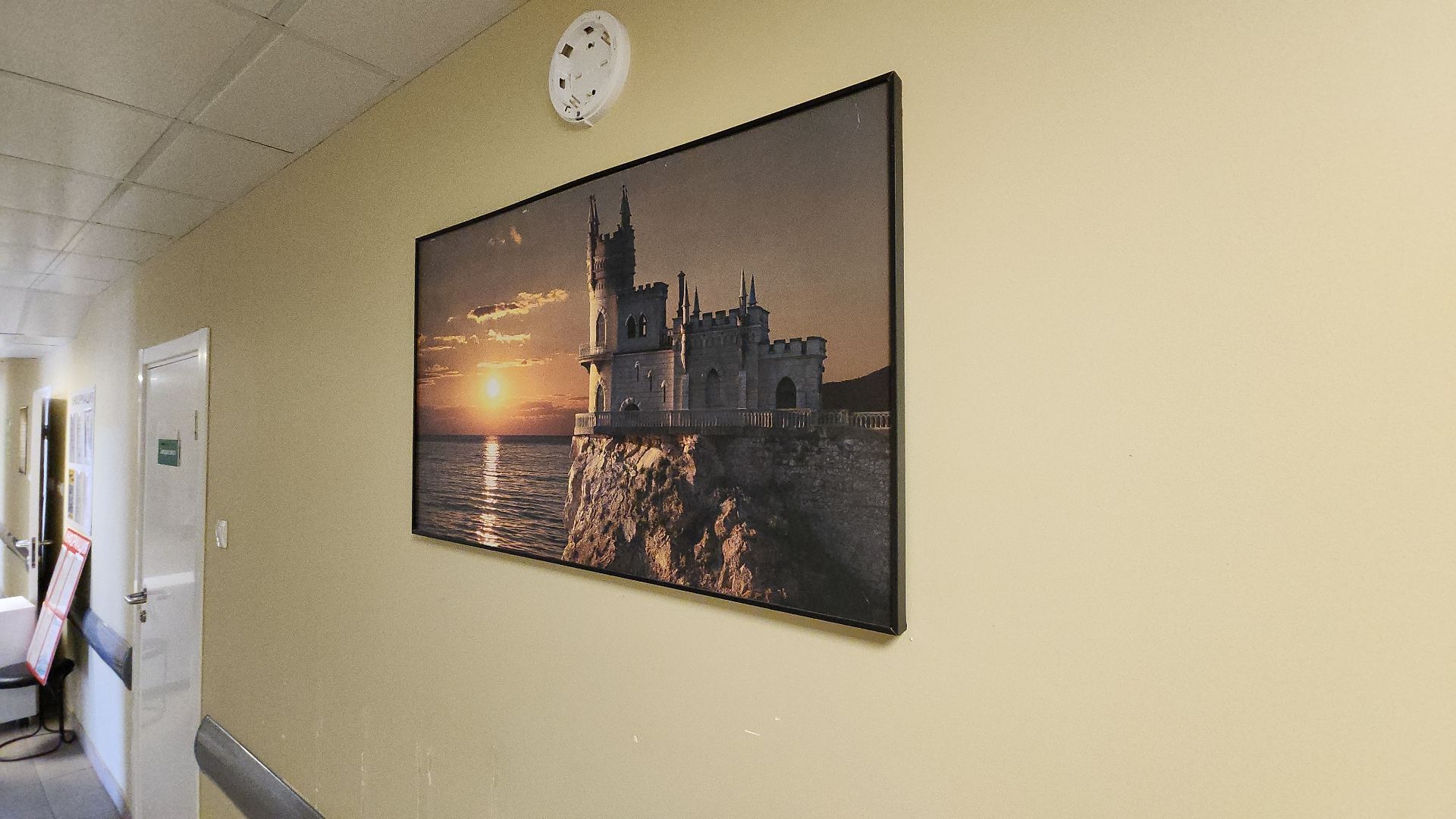 электросталь, мой город, здравоохранение, здравоохранение подмосковья, врач, врач-кардиолог, больница,