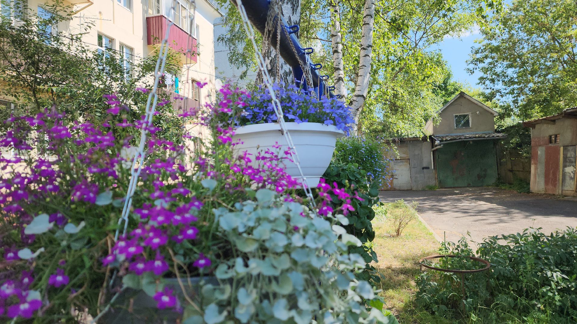 красногорск, опалиха, сад, цветы,