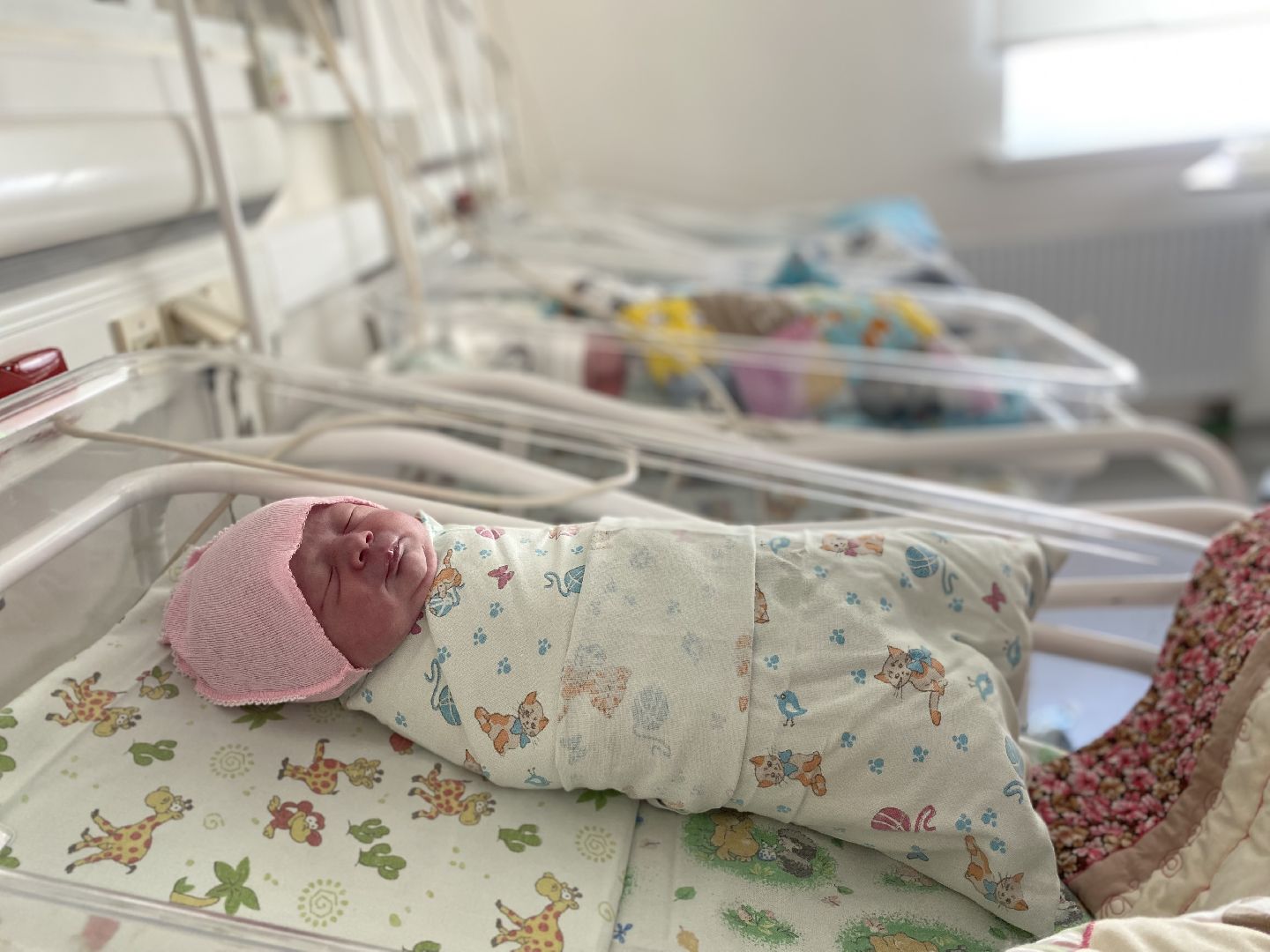 Коломна, перинатальные центры, рождаемость, демография,