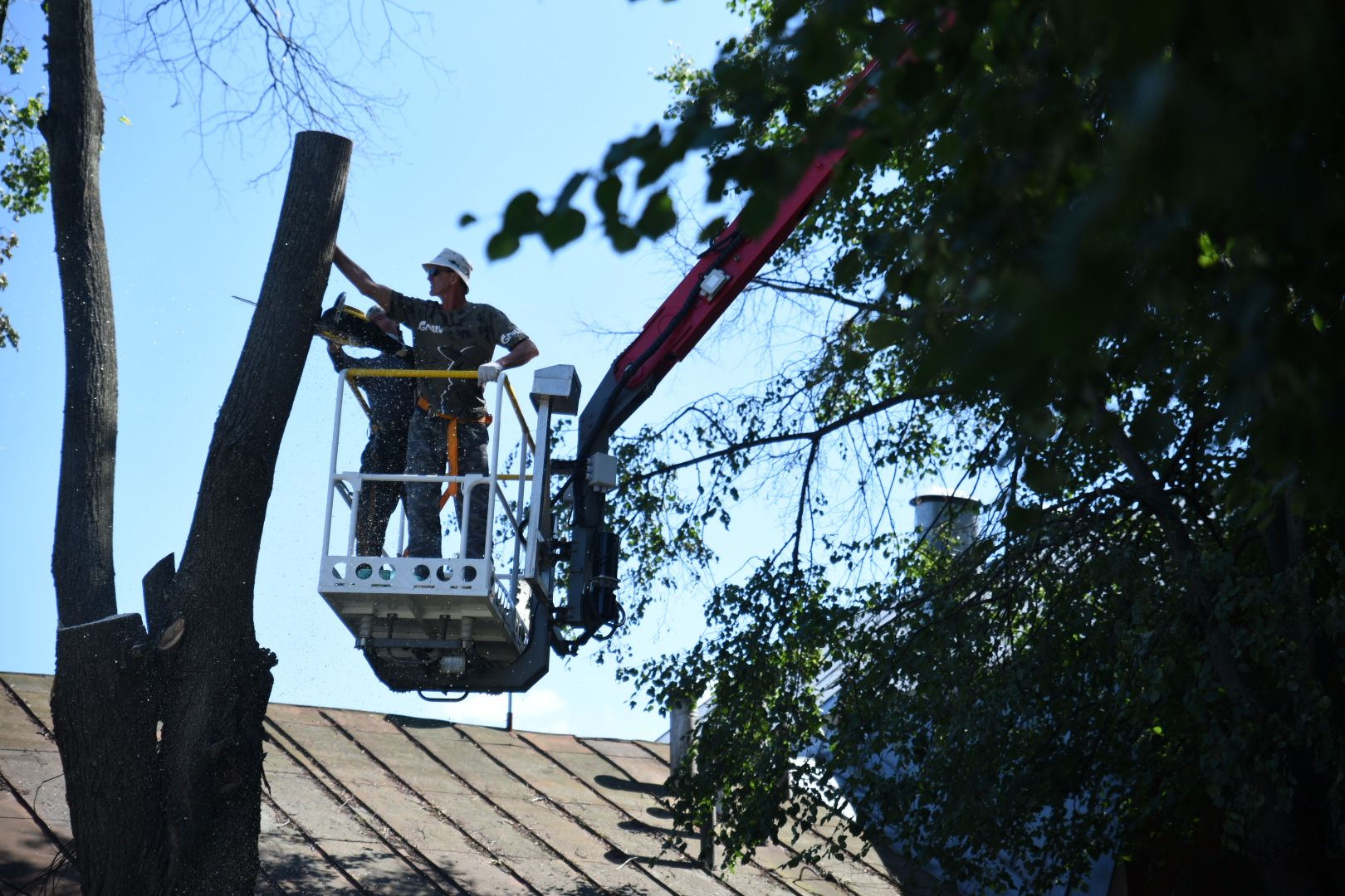 Бронницы, Благоустройство, Опиловка деревьев, Работы по опиловке, мбу благоустройство,