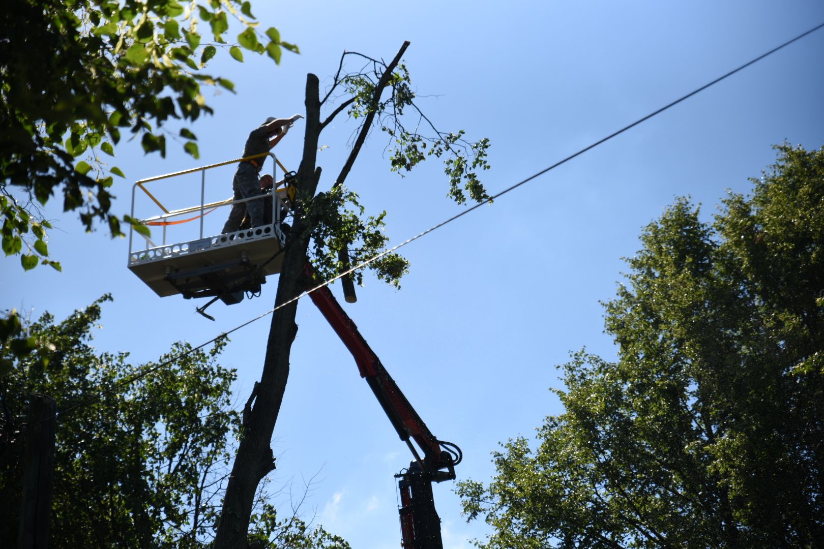 Бронницы, Благоустройство, Опиловка деревьев, Работы по опиловке, мбу благоустройство,