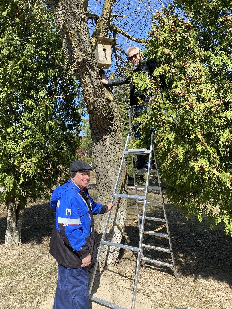 Чехов, перемены, благоустройство, скворечник, парк
