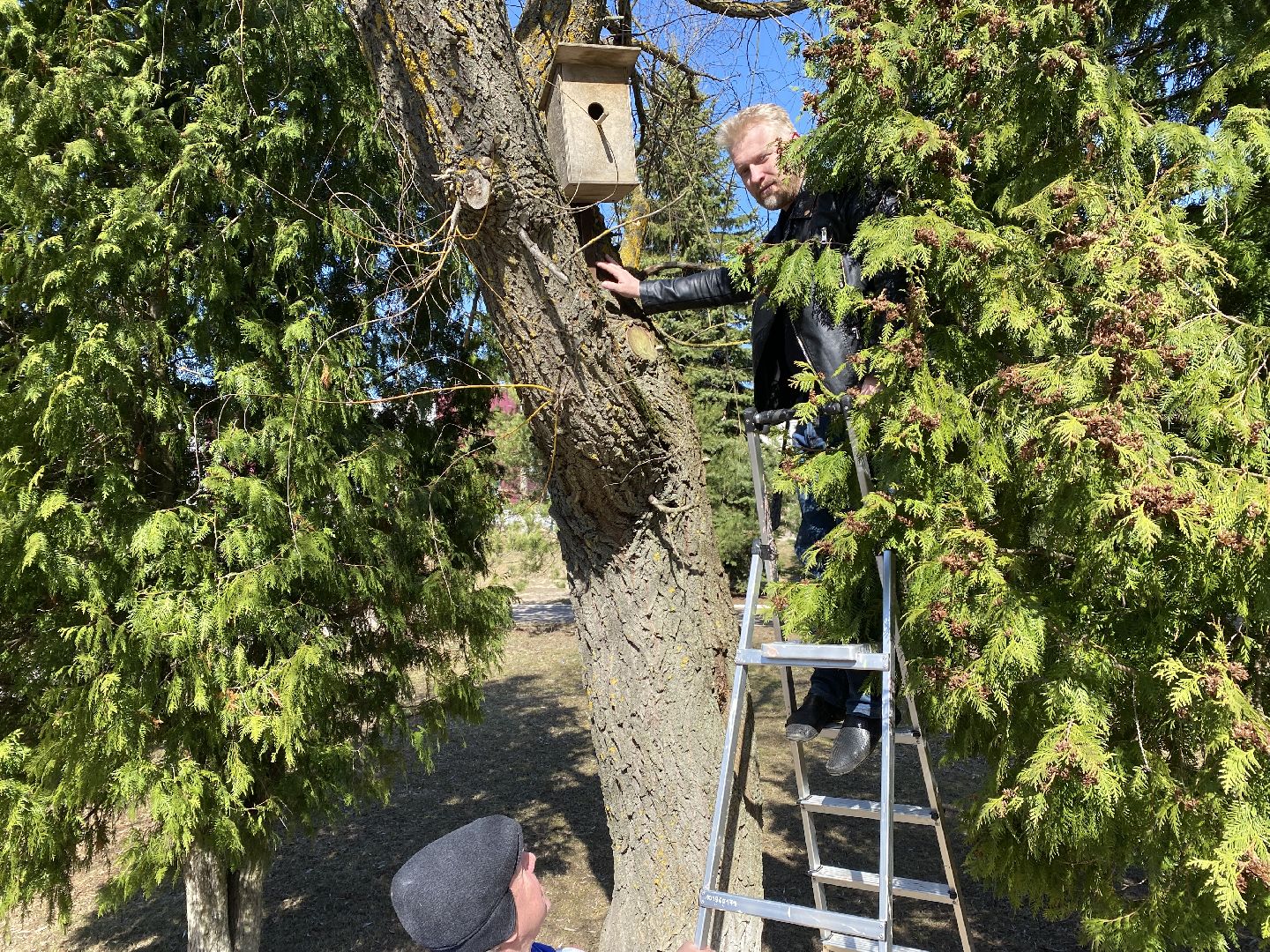 Чехов, перемены, благоустройство, скворечник, парк