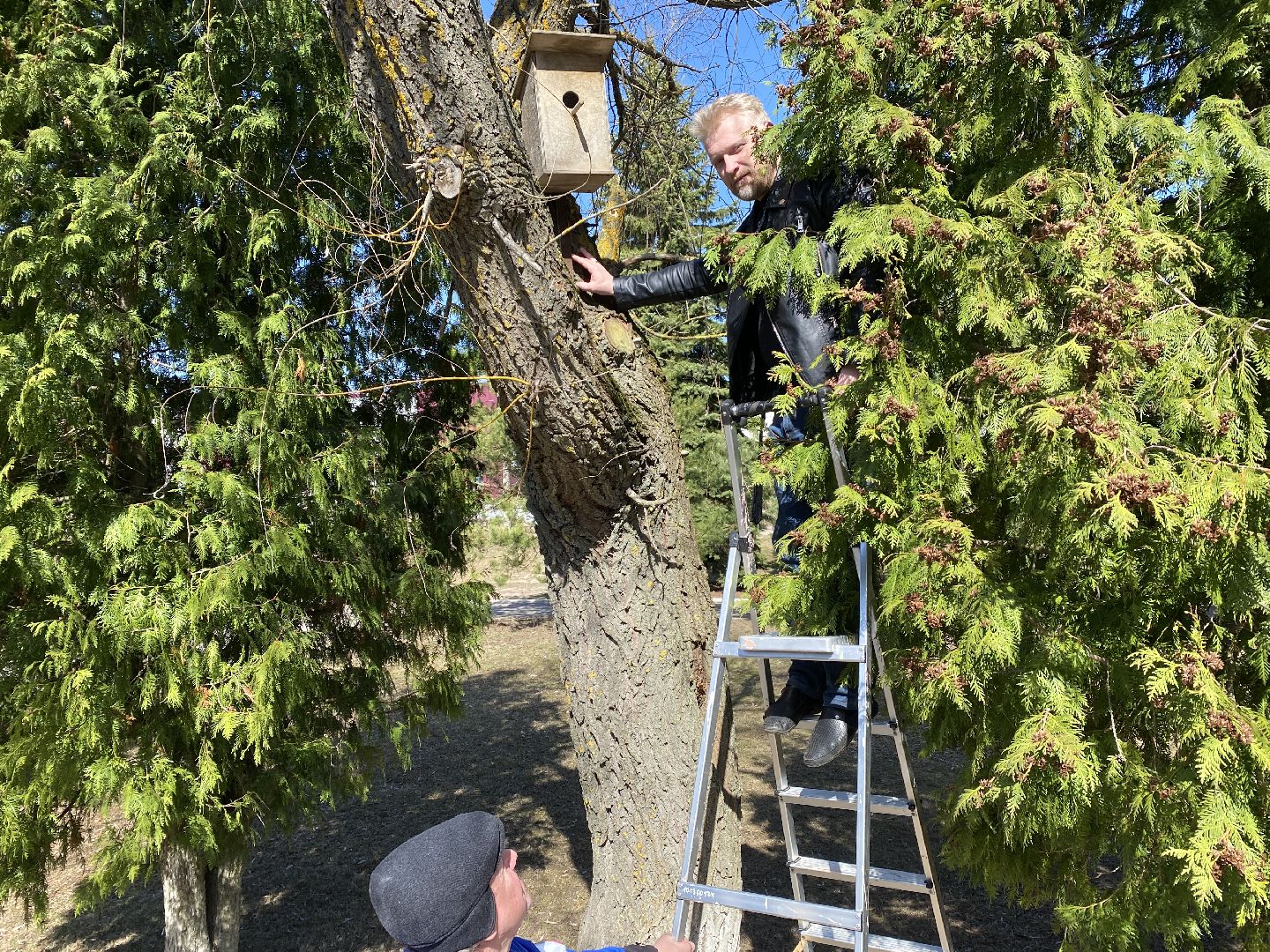 Чехов, перемены, благоустройство, скворечник, парк