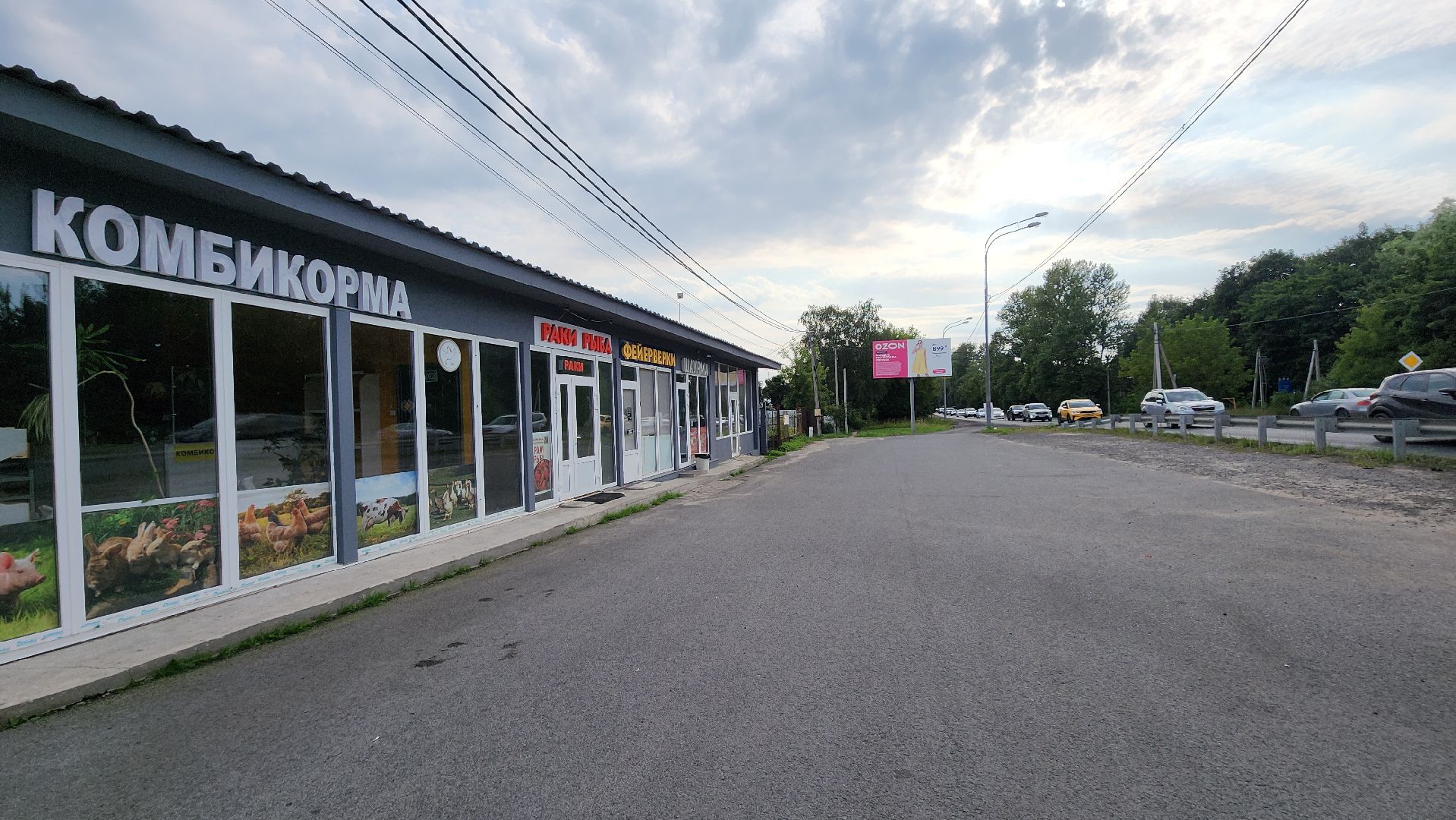 объекты торговли, благоустройство, Лосино-Петровский,