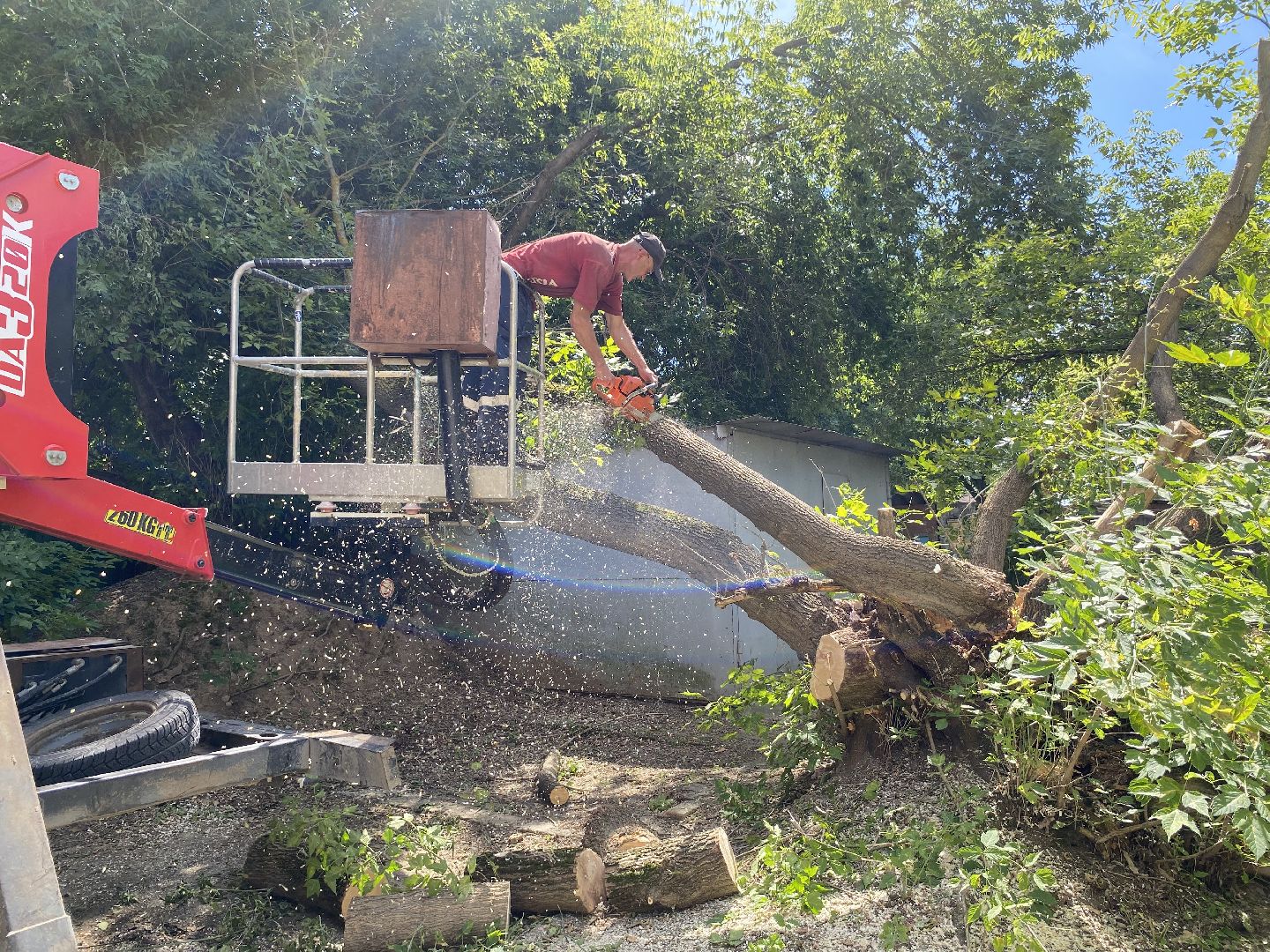 Коломна, ДГХ, опил деревьев,