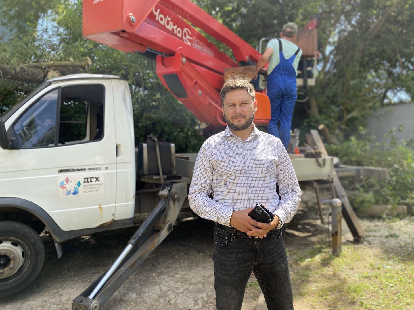 Коломна, ДГХ, опил деревьев,