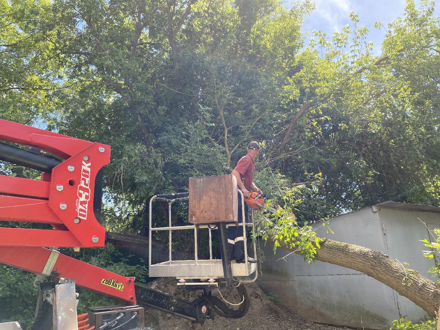 Коломна, ДГХ, опил деревьев,