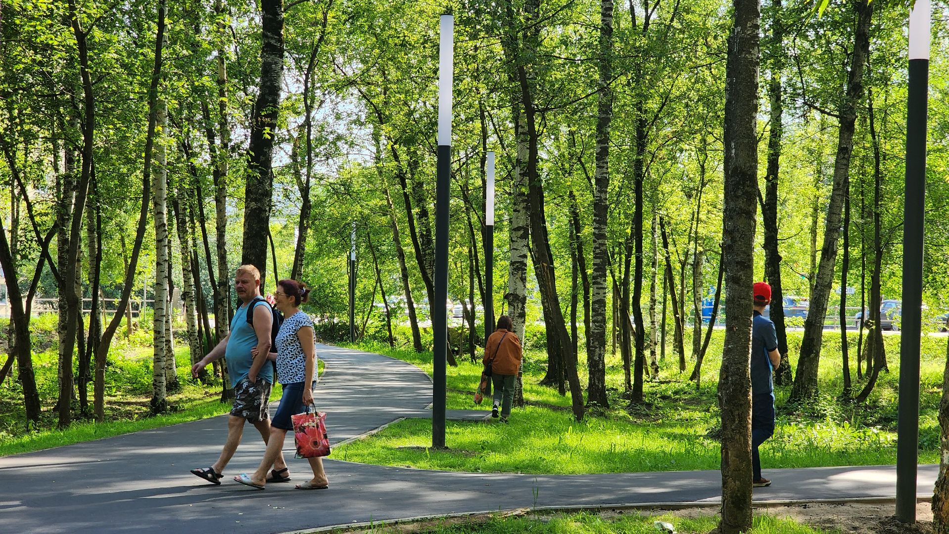 Асфальт, тропинка, дорога, Лобня,