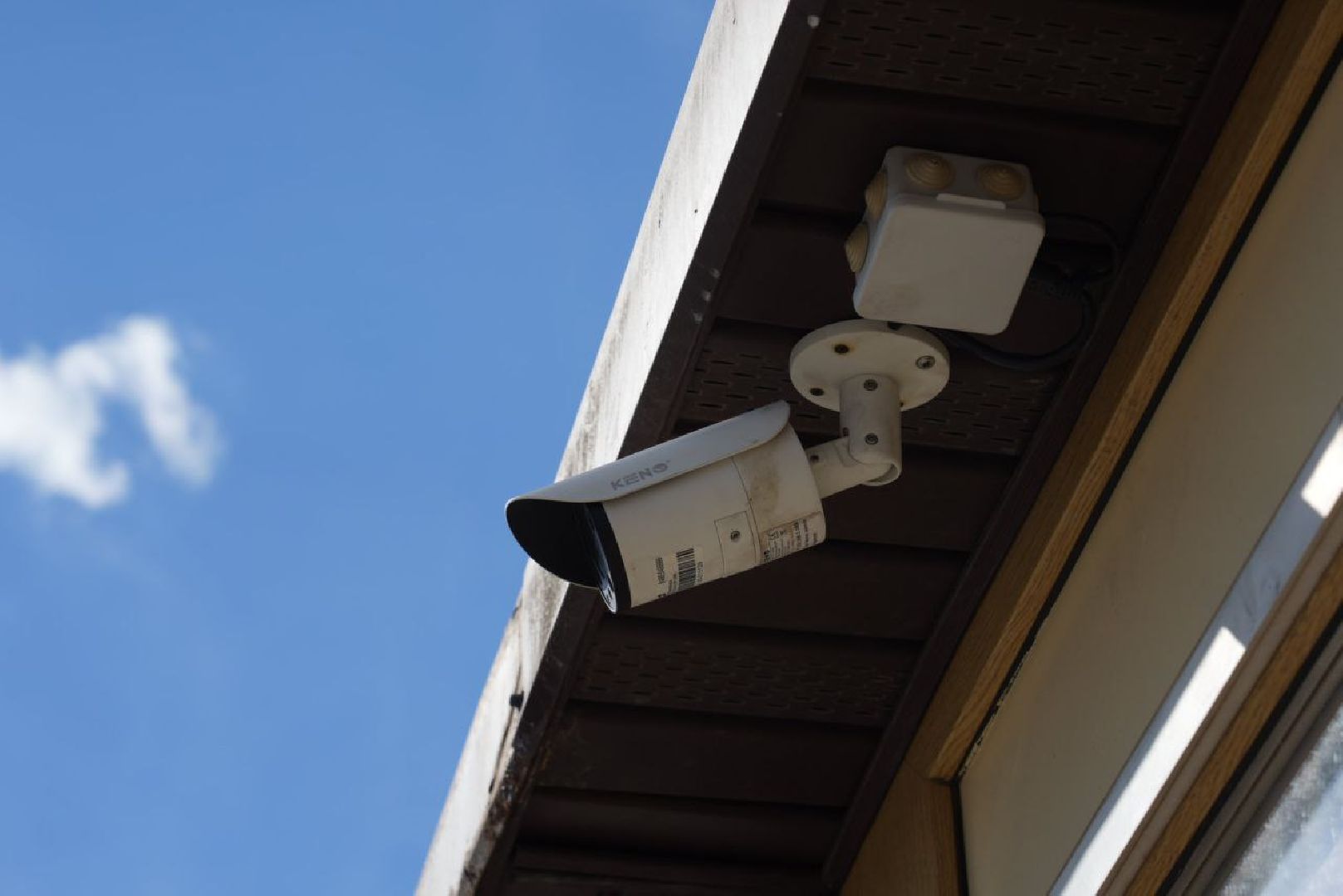 Сергиев Посад, Безопасный регион, Белый пруд, Белые лебеди, Видеонаблюдение,