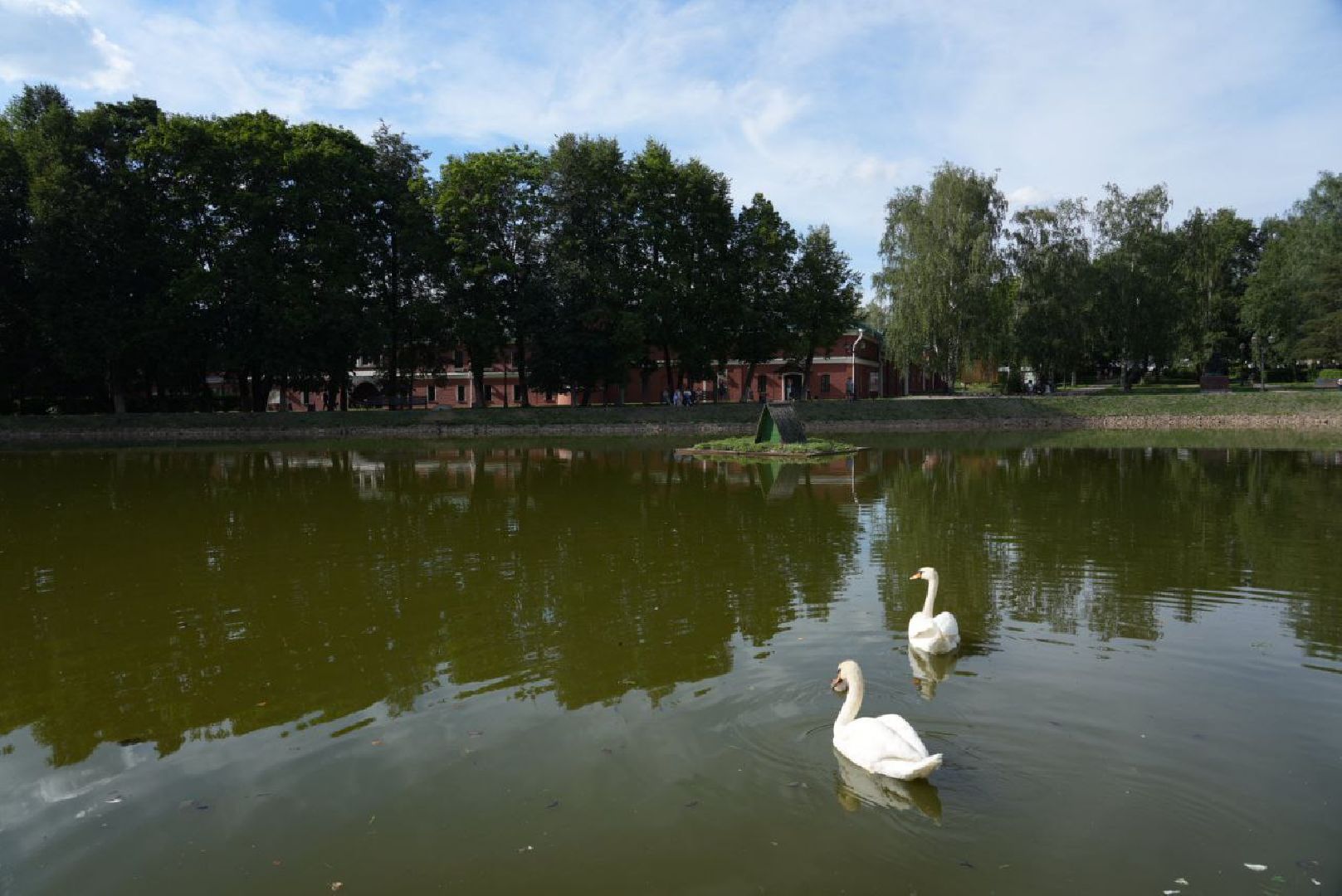 Сергиев Посад, Безопасный регион, Белый пруд, Белые лебеди, Видеонаблюдение,