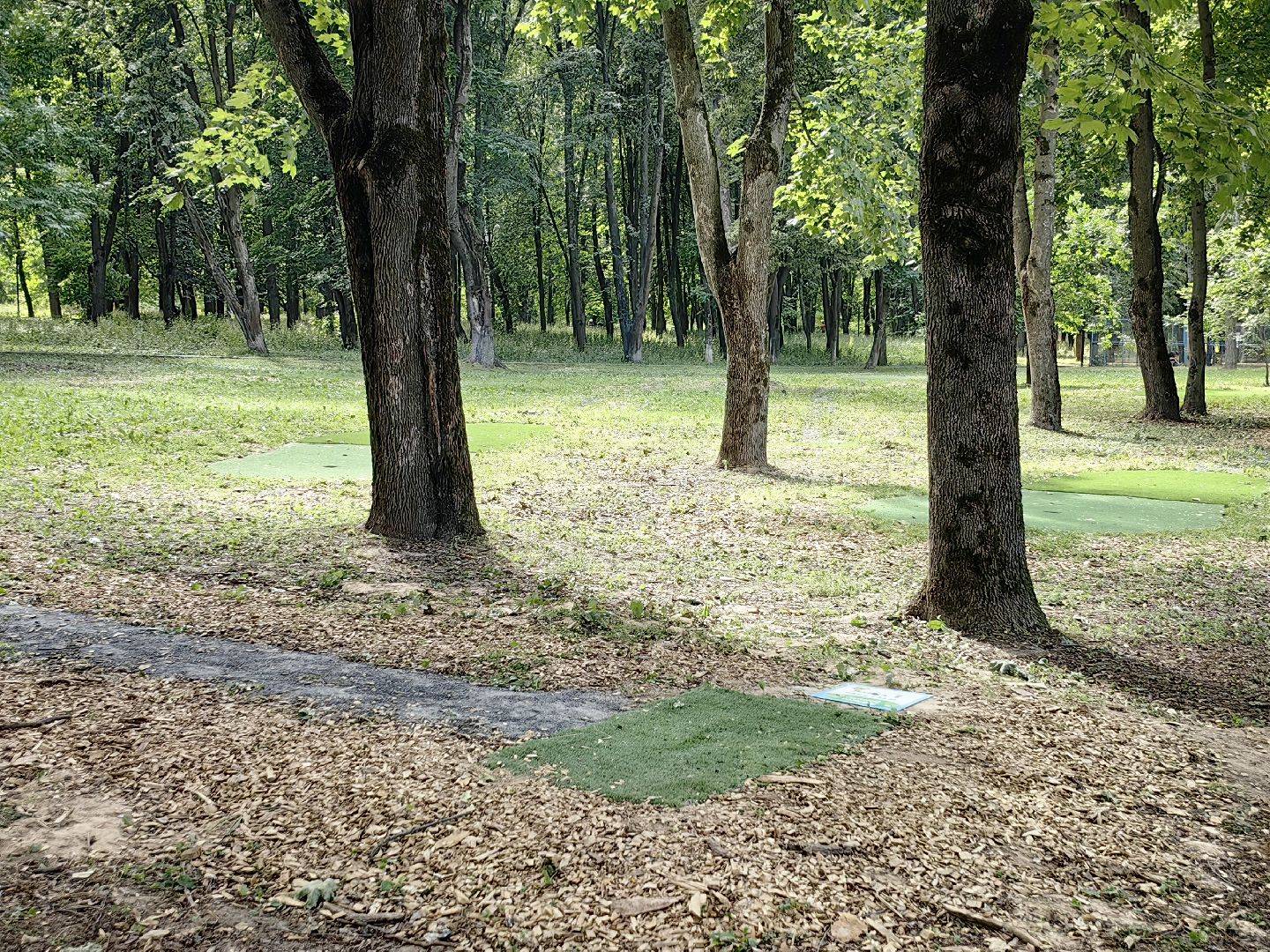 щёлково, парки, спорт, гольф,