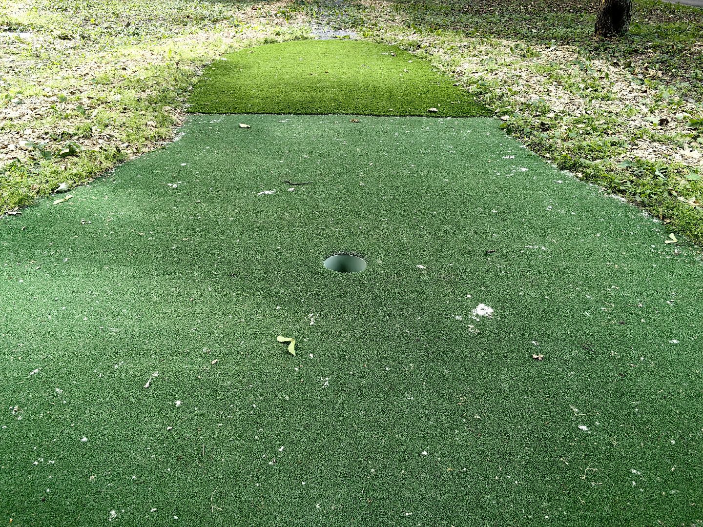 щёлково, парки, спорт, гольф,