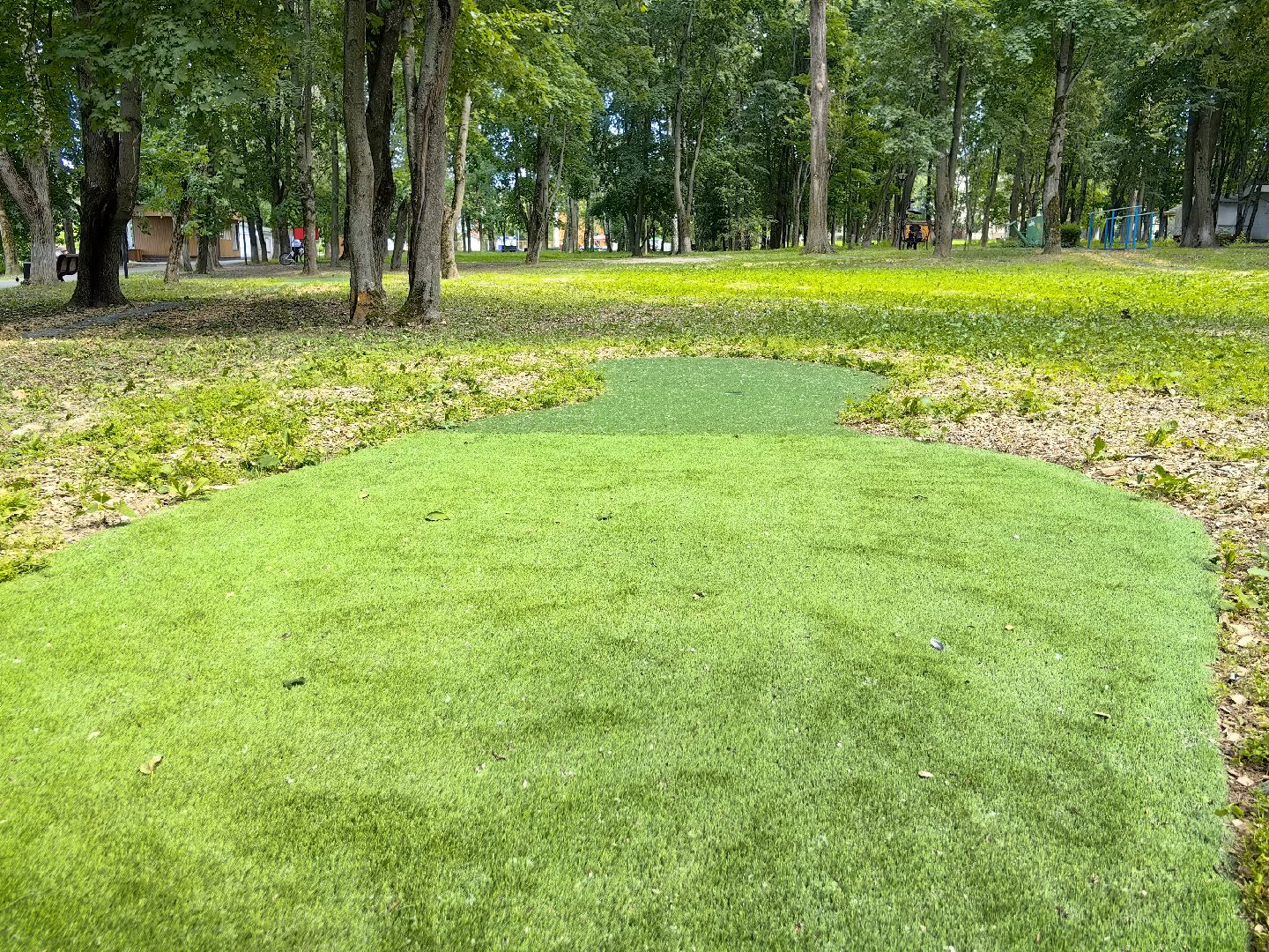 щёлково, парки, спорт, гольф,