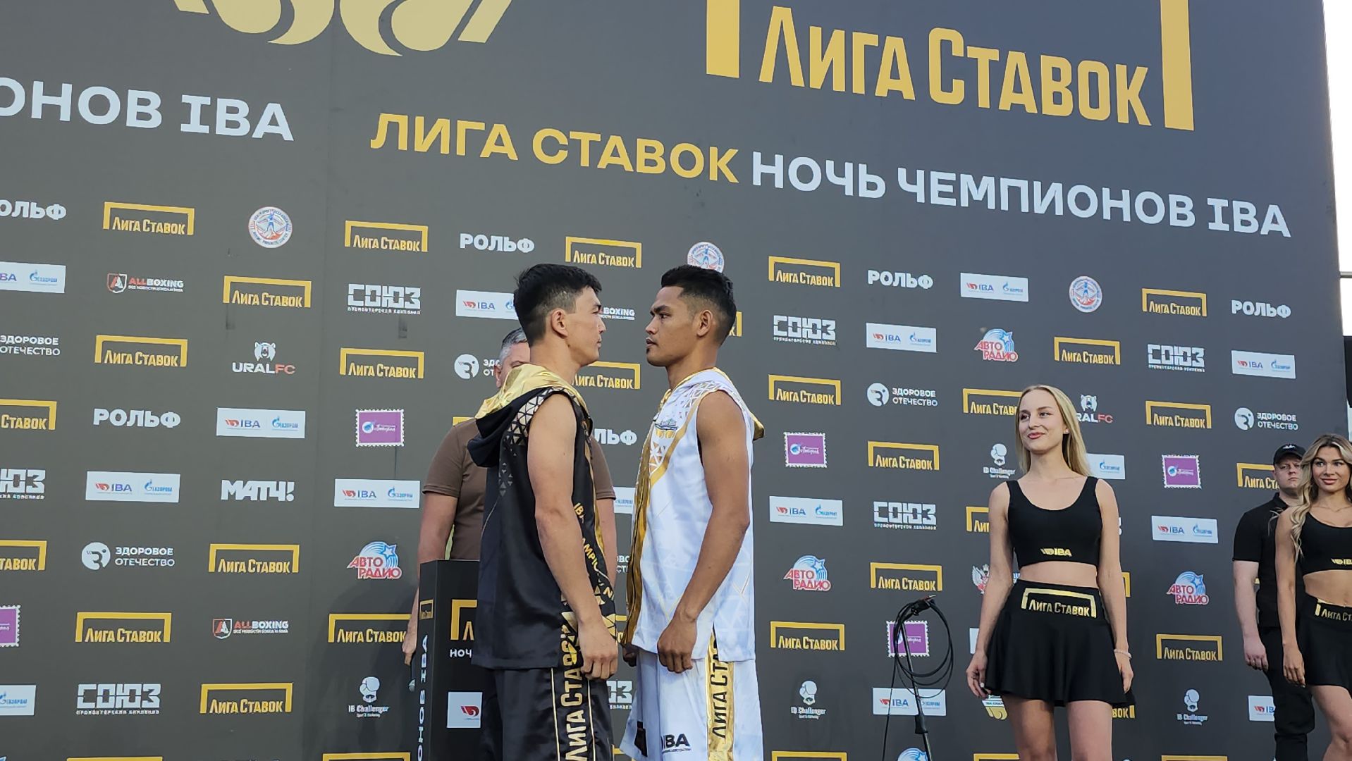 серпухов, подмосковье, бокс, федерация бокса россии,