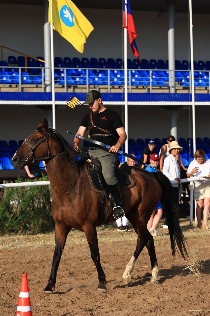 лошади, шаховская, спортсмены, конно-спортивная школа,