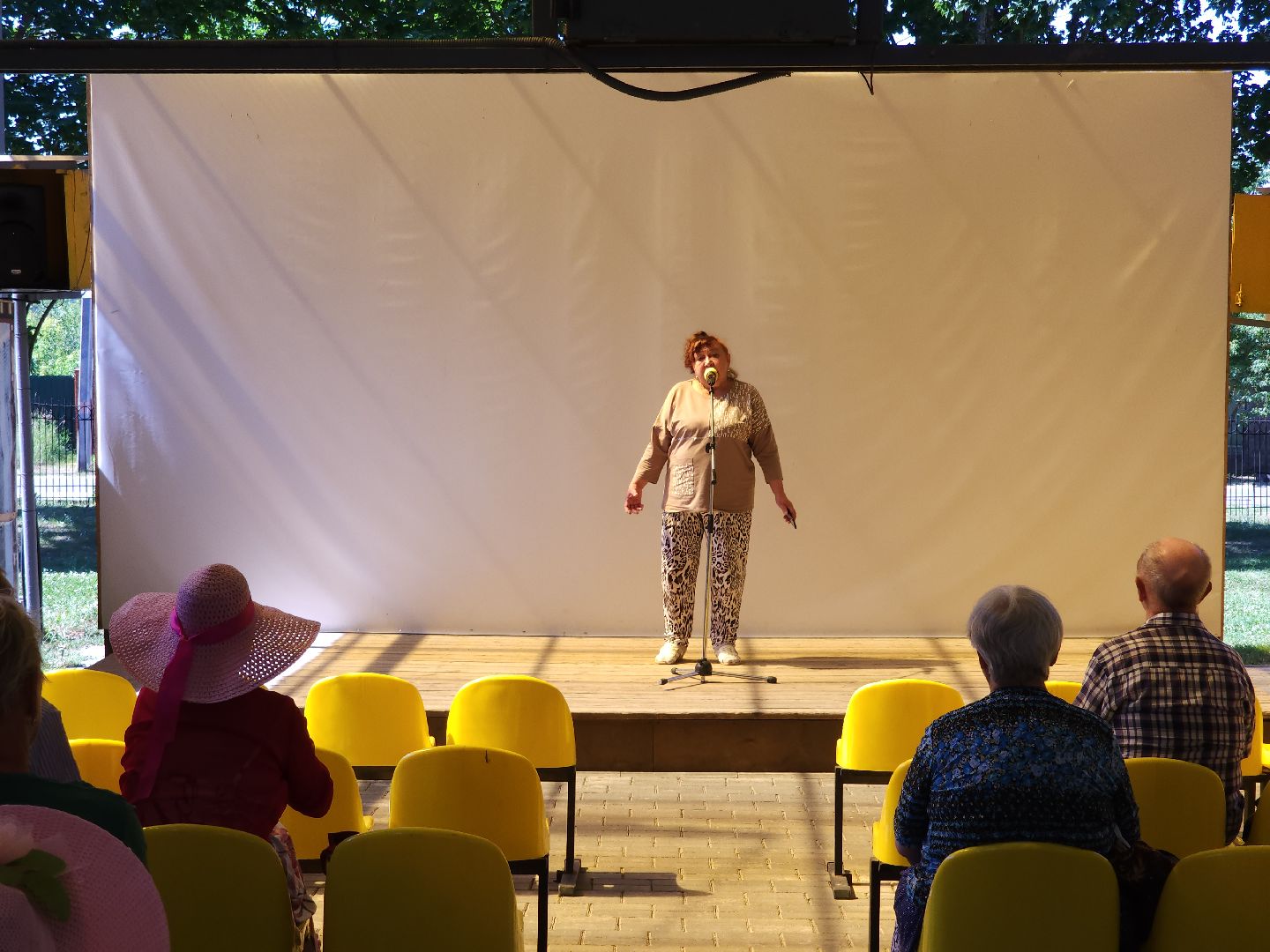 егорьевс, парк, пегас, поэт, поэты, литература, активное долголетие, стих, стихи, стихотворения,