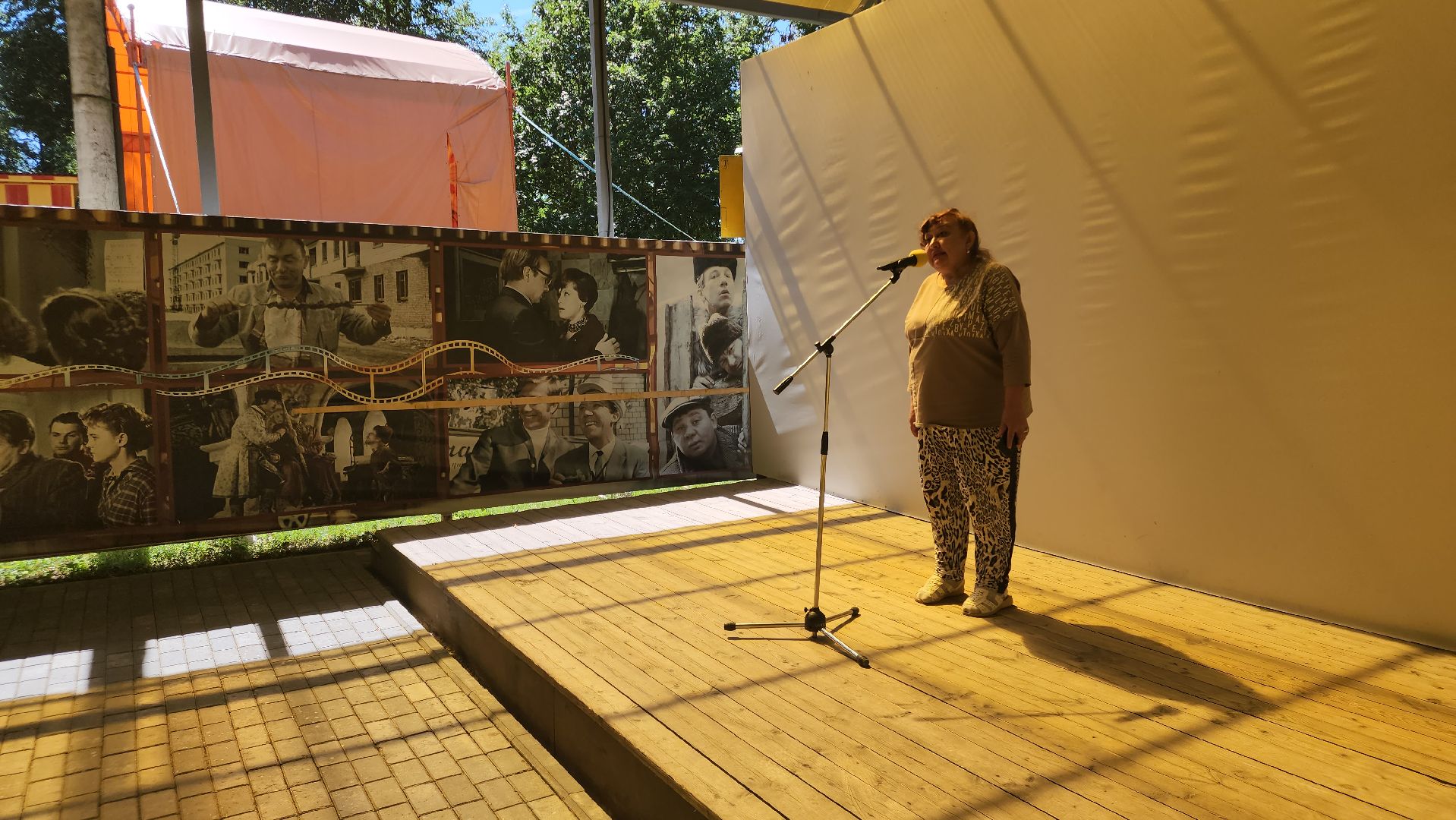 егорьевс, парк, пегас, поэт, поэты, литература, активное долголетие, стих, стихи, стихотворения,