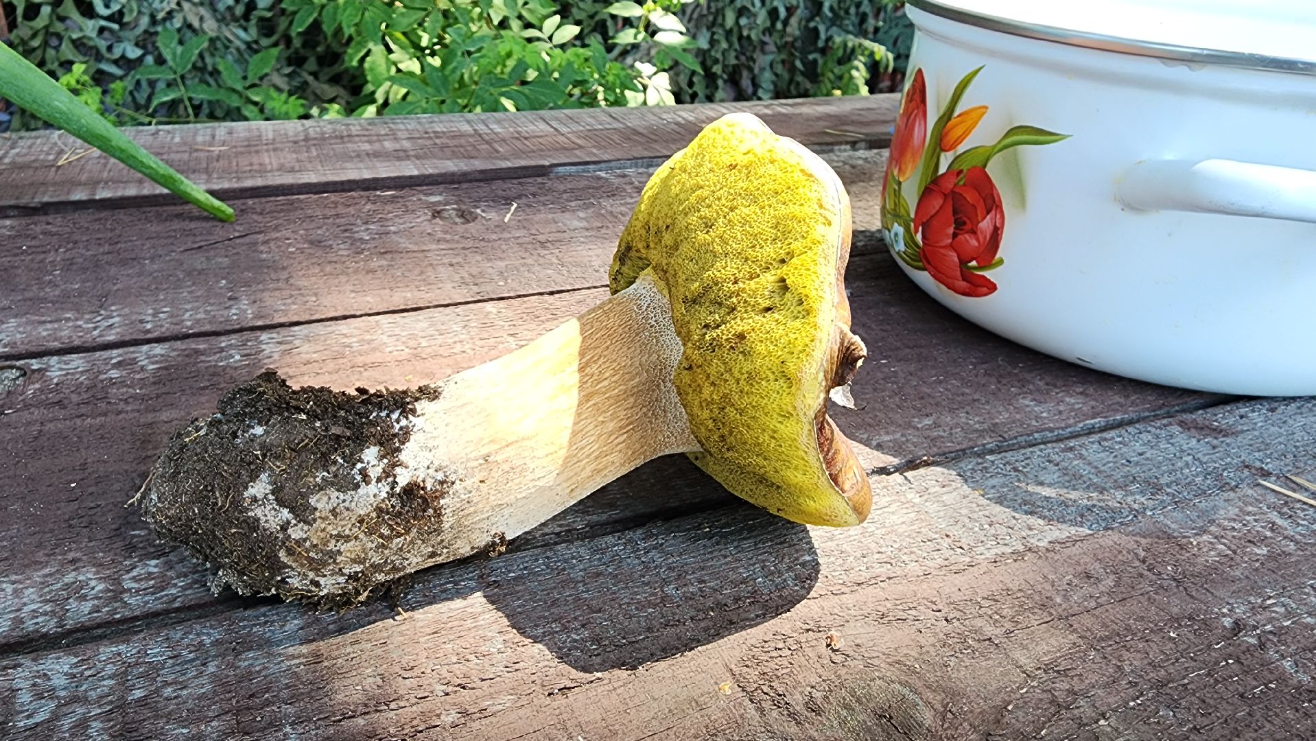 Активное долголетие, день рыбака, Луковое озеро, Ногинск, Богородский городской округ,