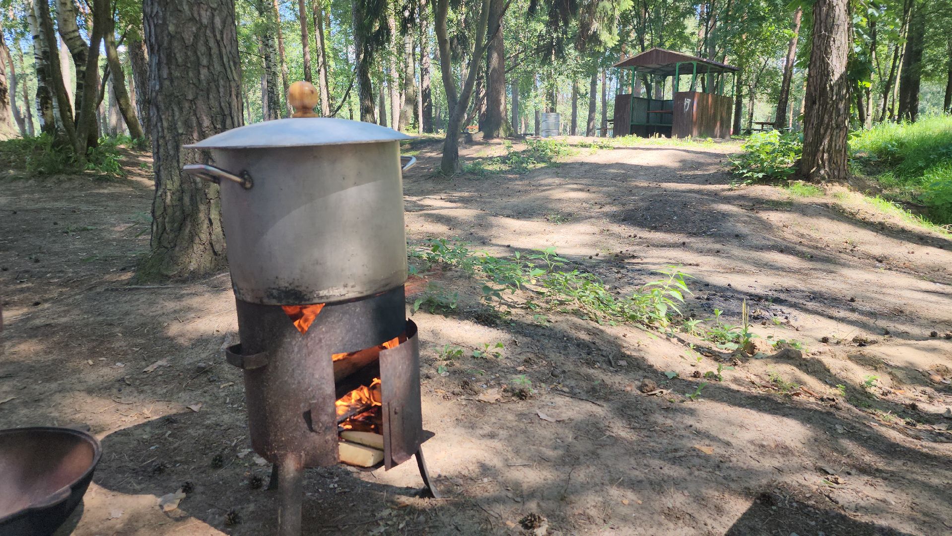 Активное долголетие, день рыбака, Луковое озеро, Ногинск, Богородский городской округ,