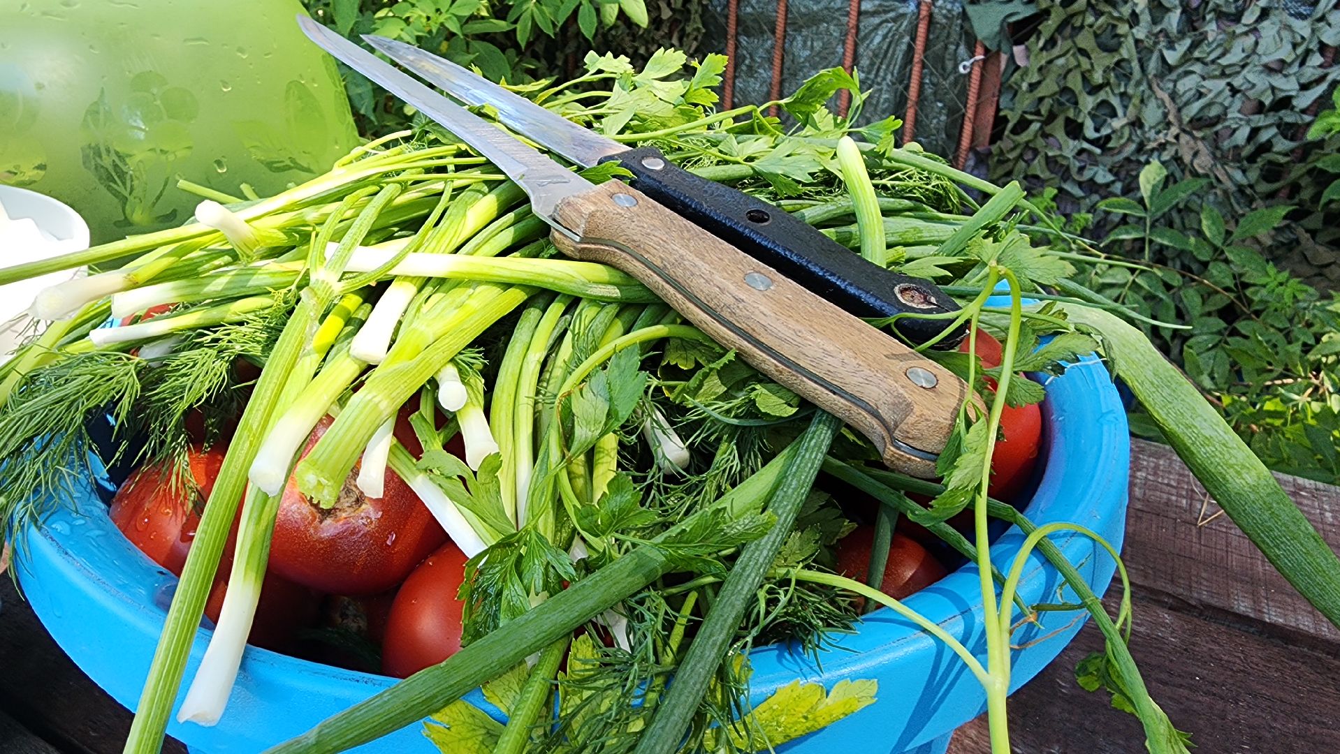 Активное долголетие, день рыбака, Луковое озеро, Ногинск, Богородский городской округ,