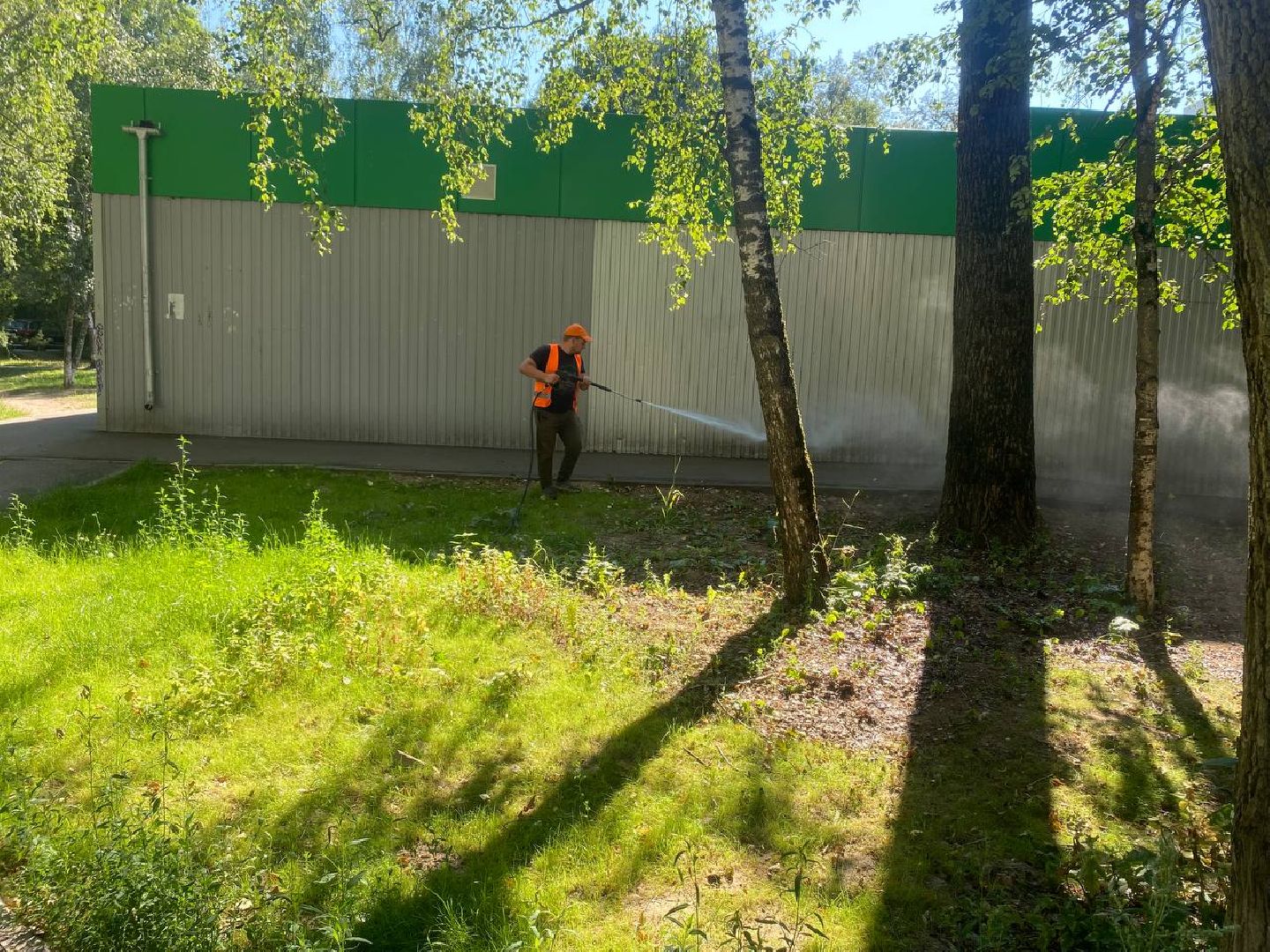 пушкино, газон, благоустройство, покос травы, трава, семена,