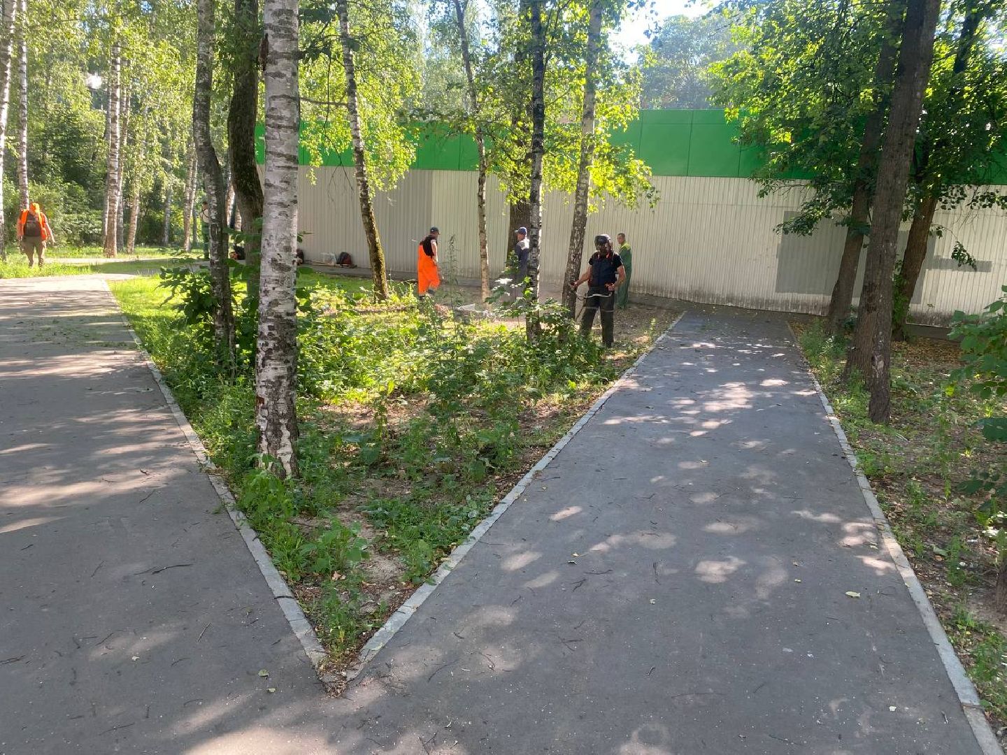 пушкино, газон, благоустройство, покос травы, трава, семена,