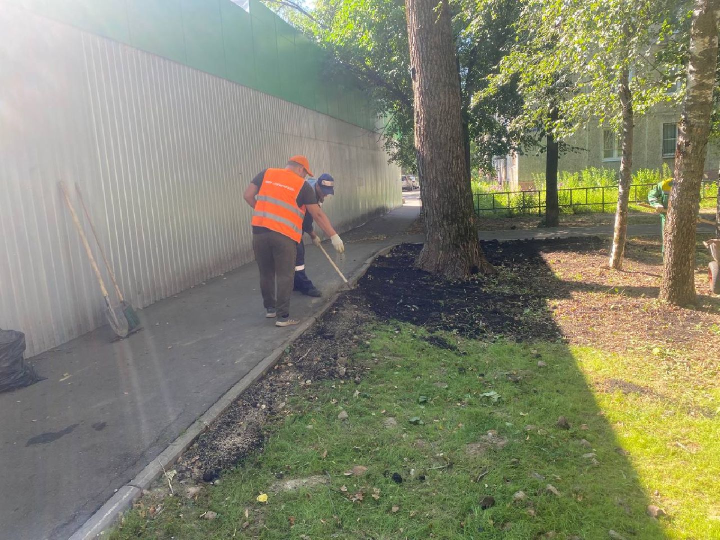 пушкино, газон, благоустройство, покос травы, трава, семена,