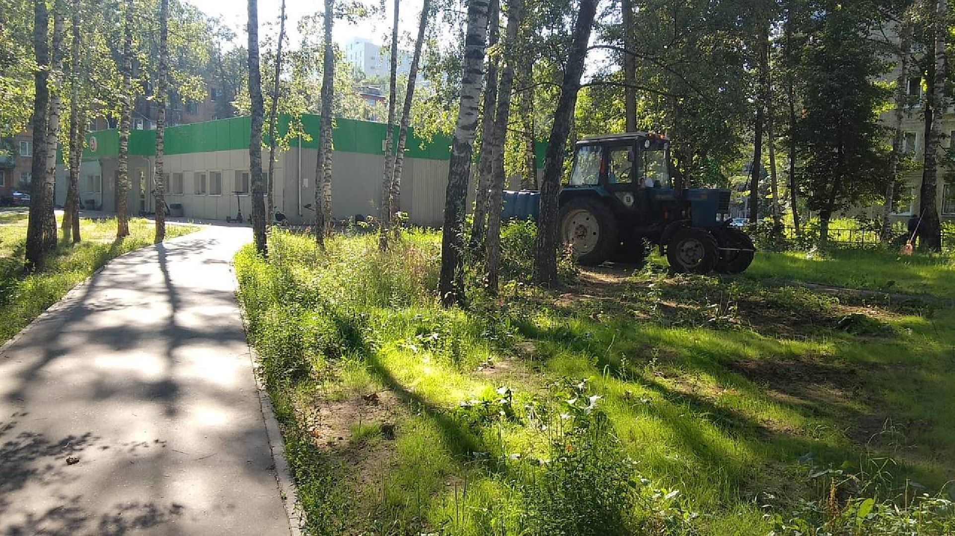 пушкино, газон, благоустройство, покос травы, трава, семена,