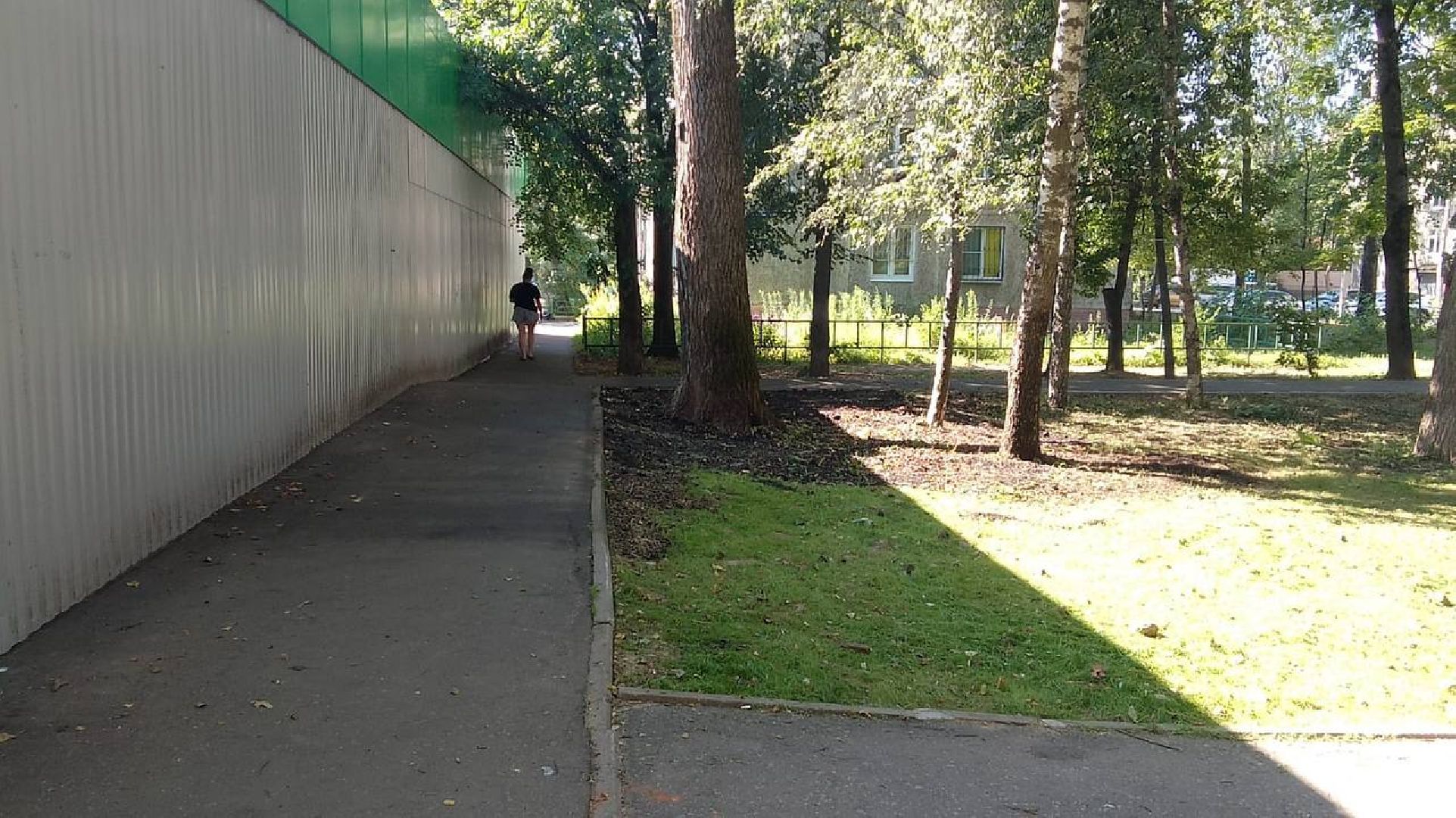 пушкино, газон, благоустройство, покос травы, трава, семена,