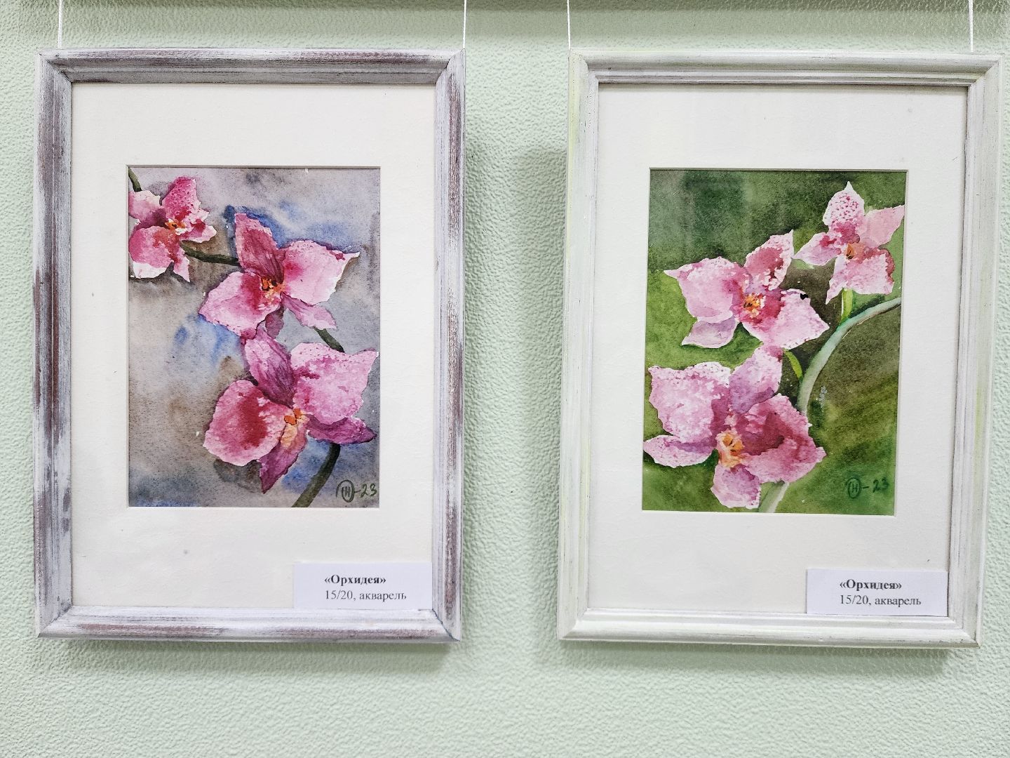 раменское, культура, туристско-информационный центр, выставка картин, ускользающая красота,