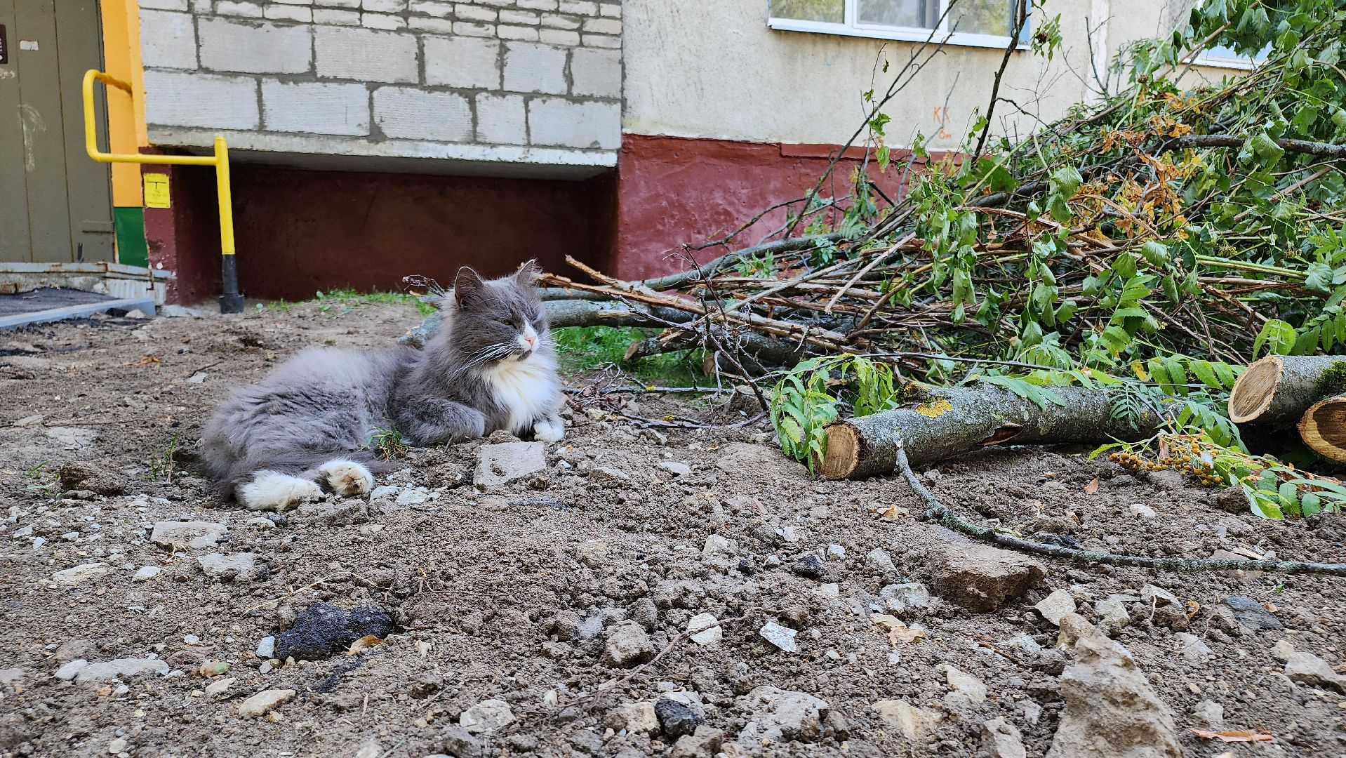 кашира, комплексное благоустройство дворов, улица победы, входные группы, парковка, асфальт, настольный теннис, тротуар, бортовой камень,