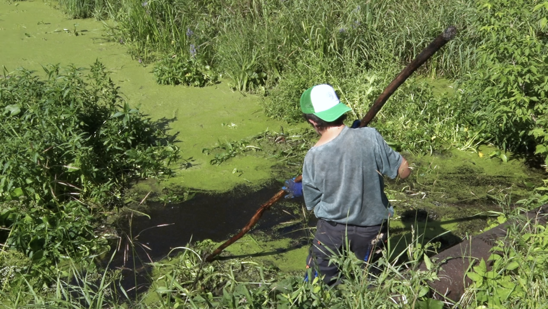 Клин, общество, волонтеры, экология, субботник,