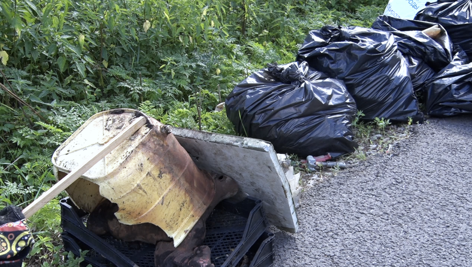 Клин, общество, волонтеры, экология, субботник,