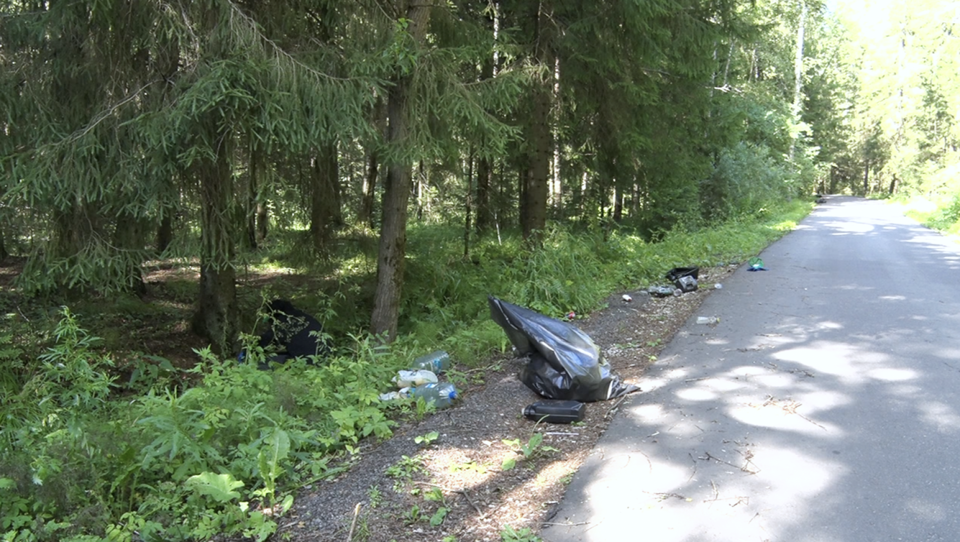 Клин, общество, волонтеры, экология, субботник,