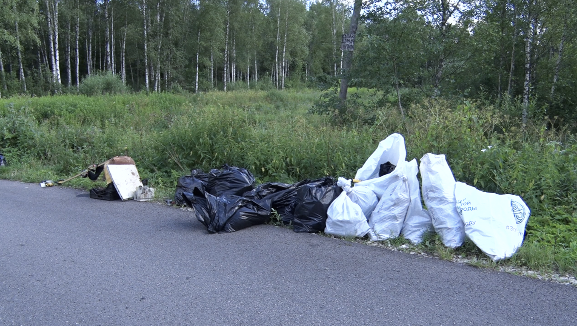 Клин, общество, волонтеры, экология, субботник,