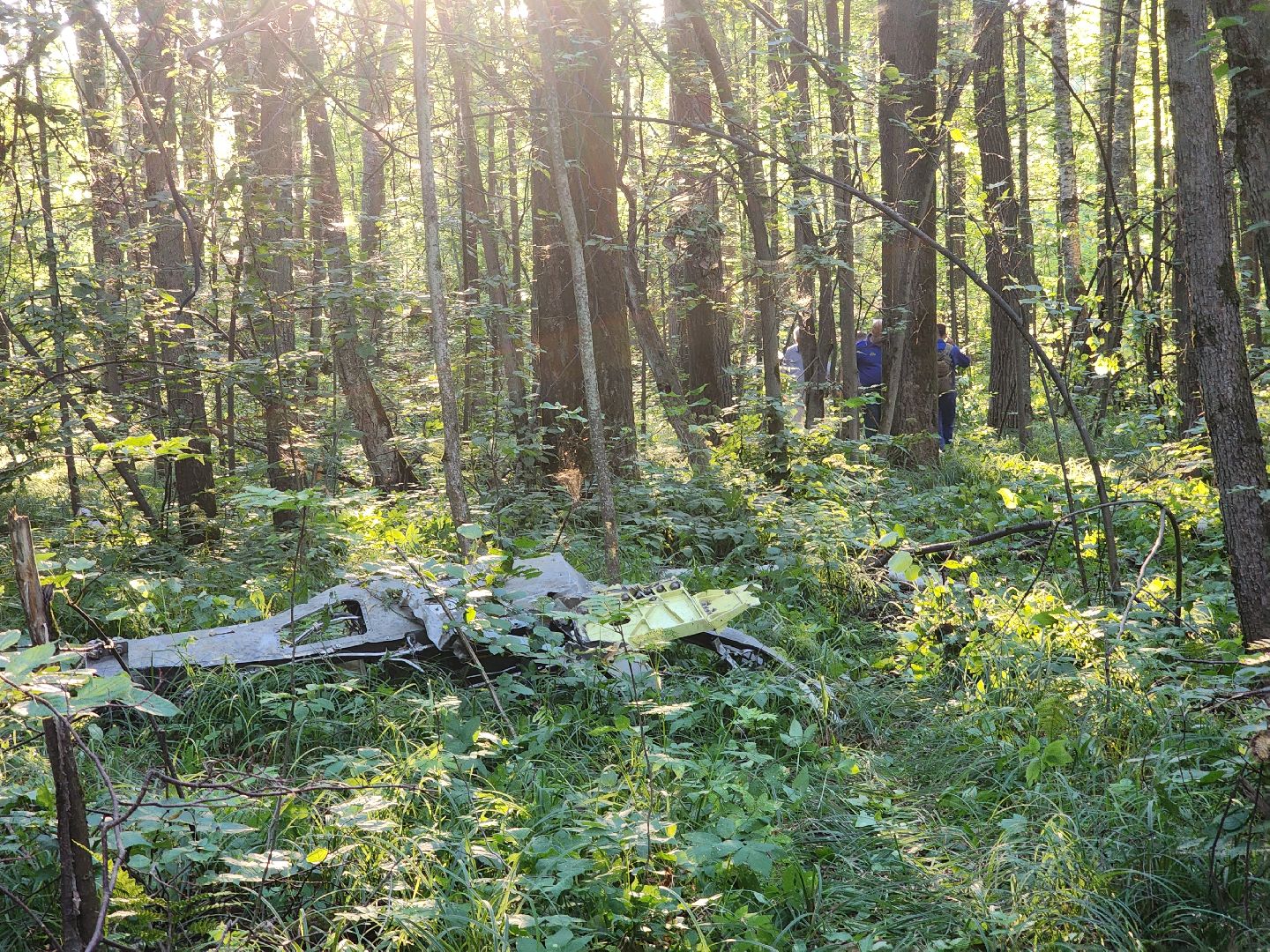 Коломна, чп, крушение самолета,