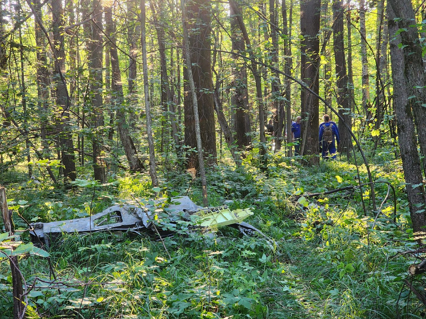 Коломна, чп, крушение самолета,