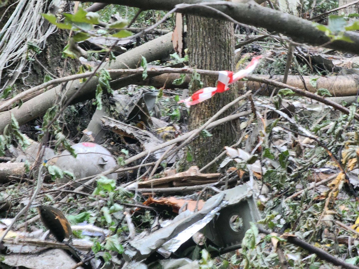 Коломна, чп, крушение самолета,