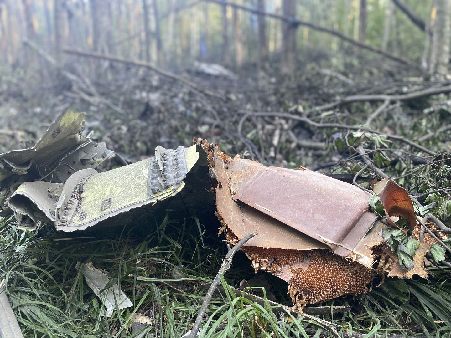 Коломна, крушение самолета, мчс, росавивция,