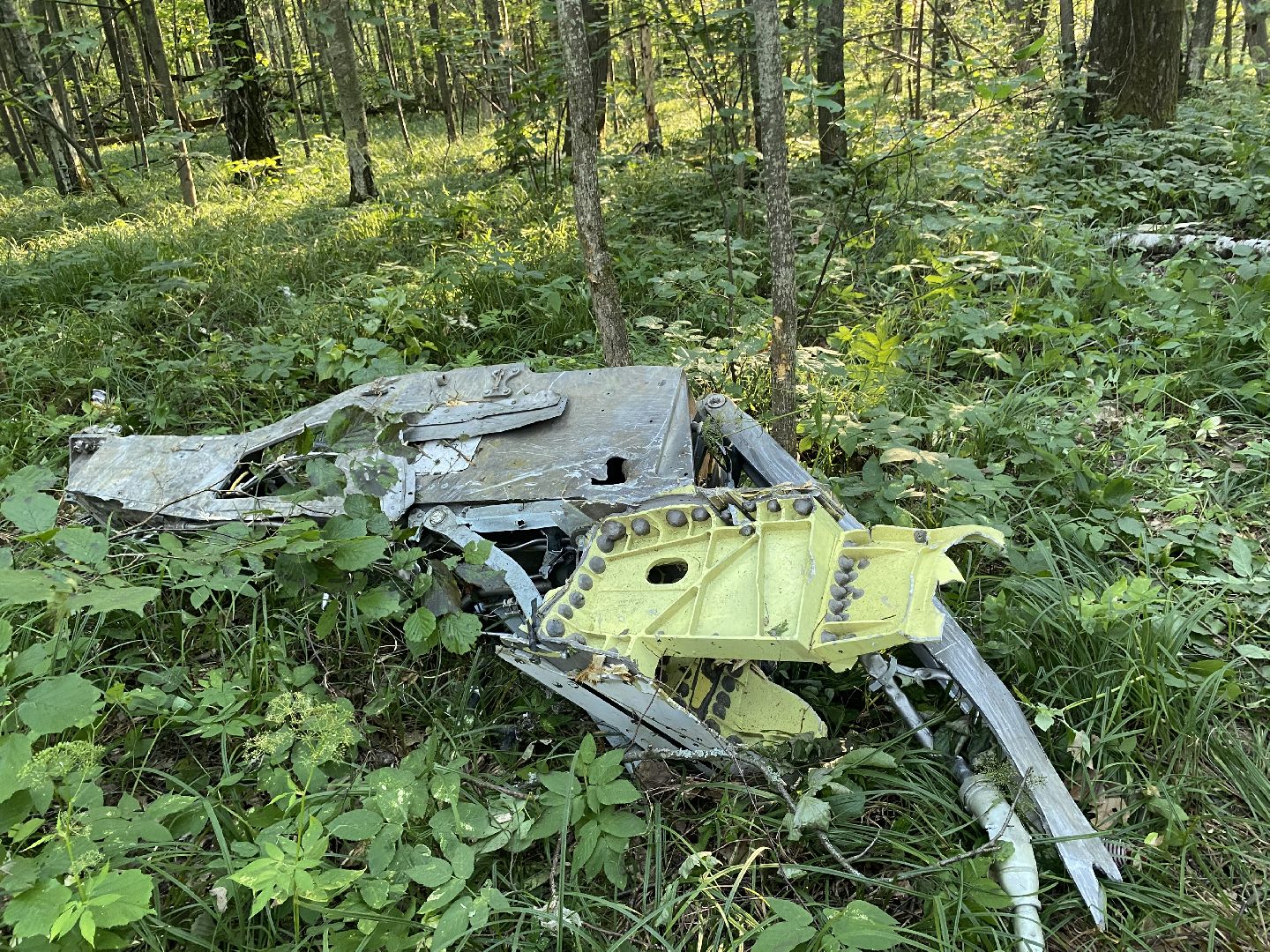 Коломна, крушение самолета, мчс, росавивция,