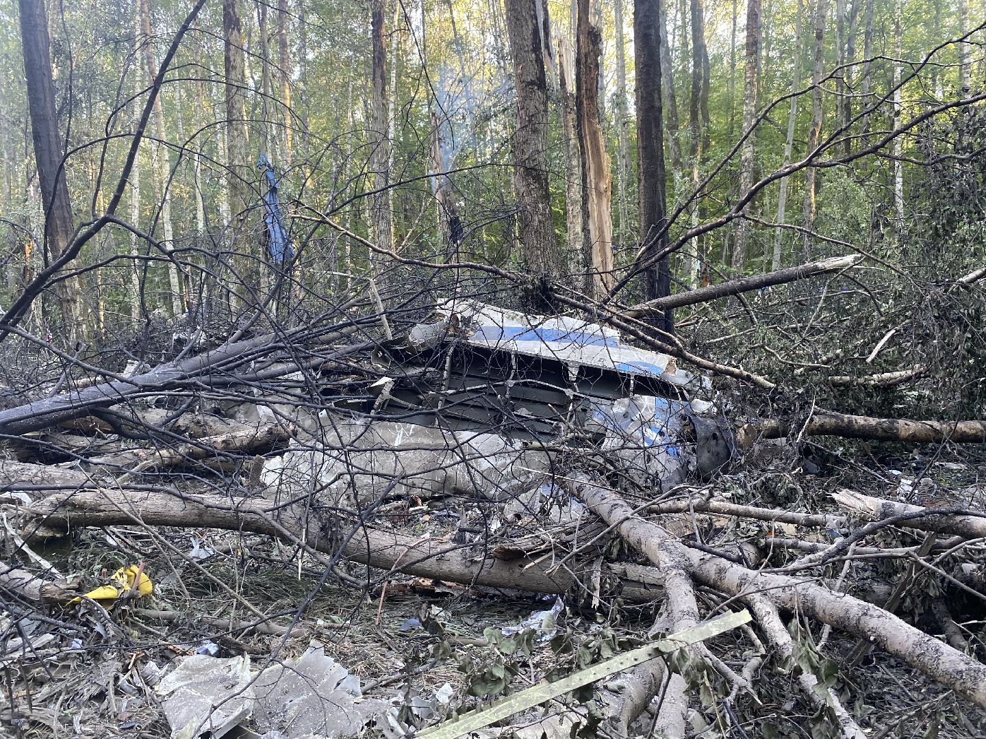 Коломна, крушение самолета, мчс, росавивция,