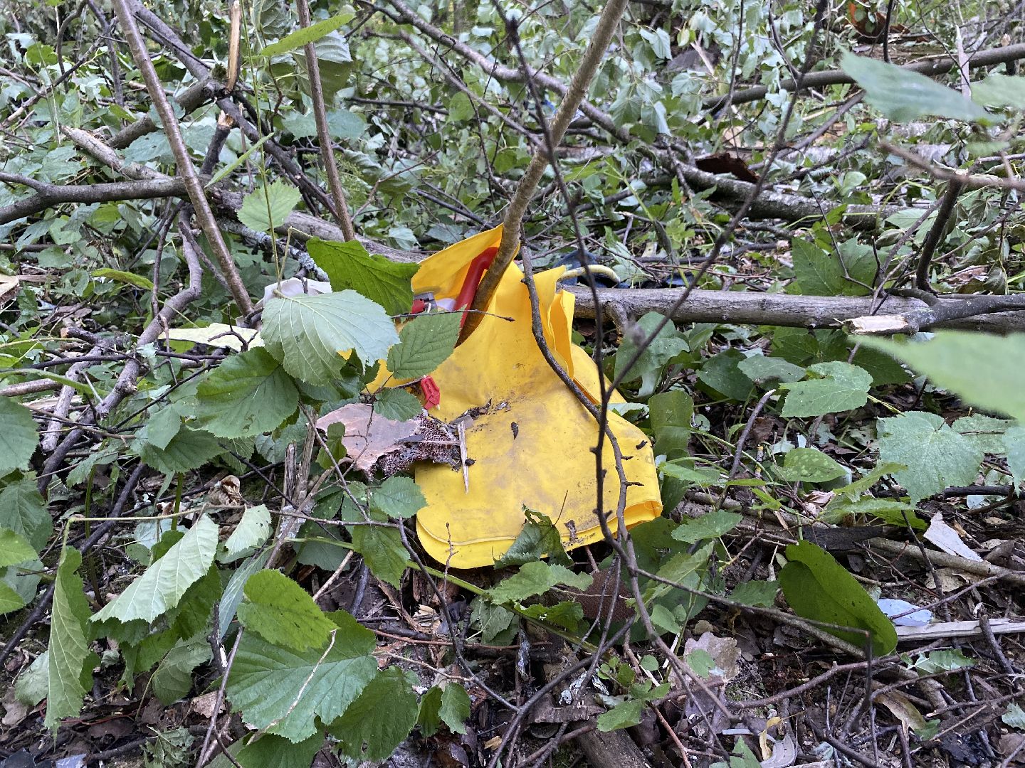 Коломна, крушение самолета, мчс, росавивция,