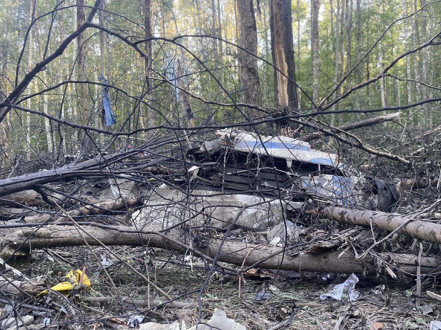 Коломна, крушение самолета, мчс, росавивция,