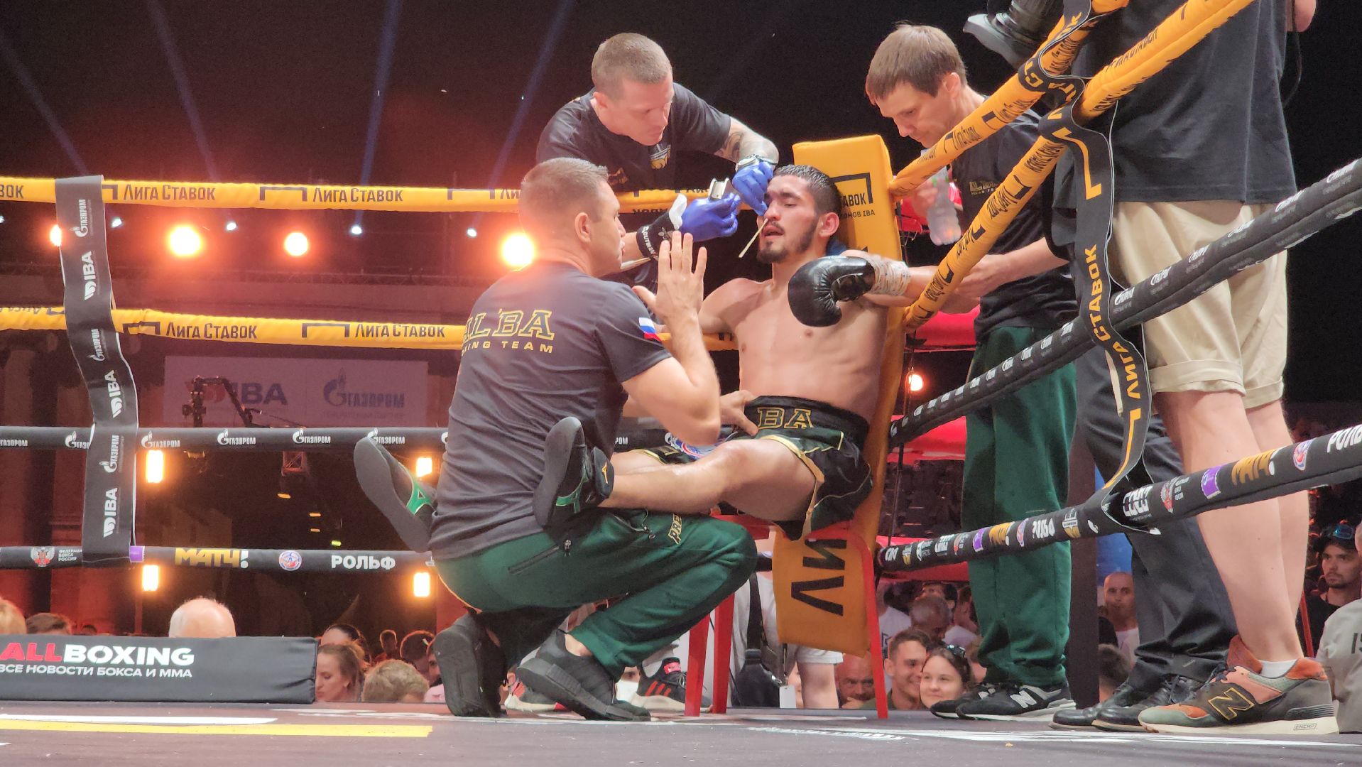 серпухов, подмосковье, бокс, федерация бокса россии,